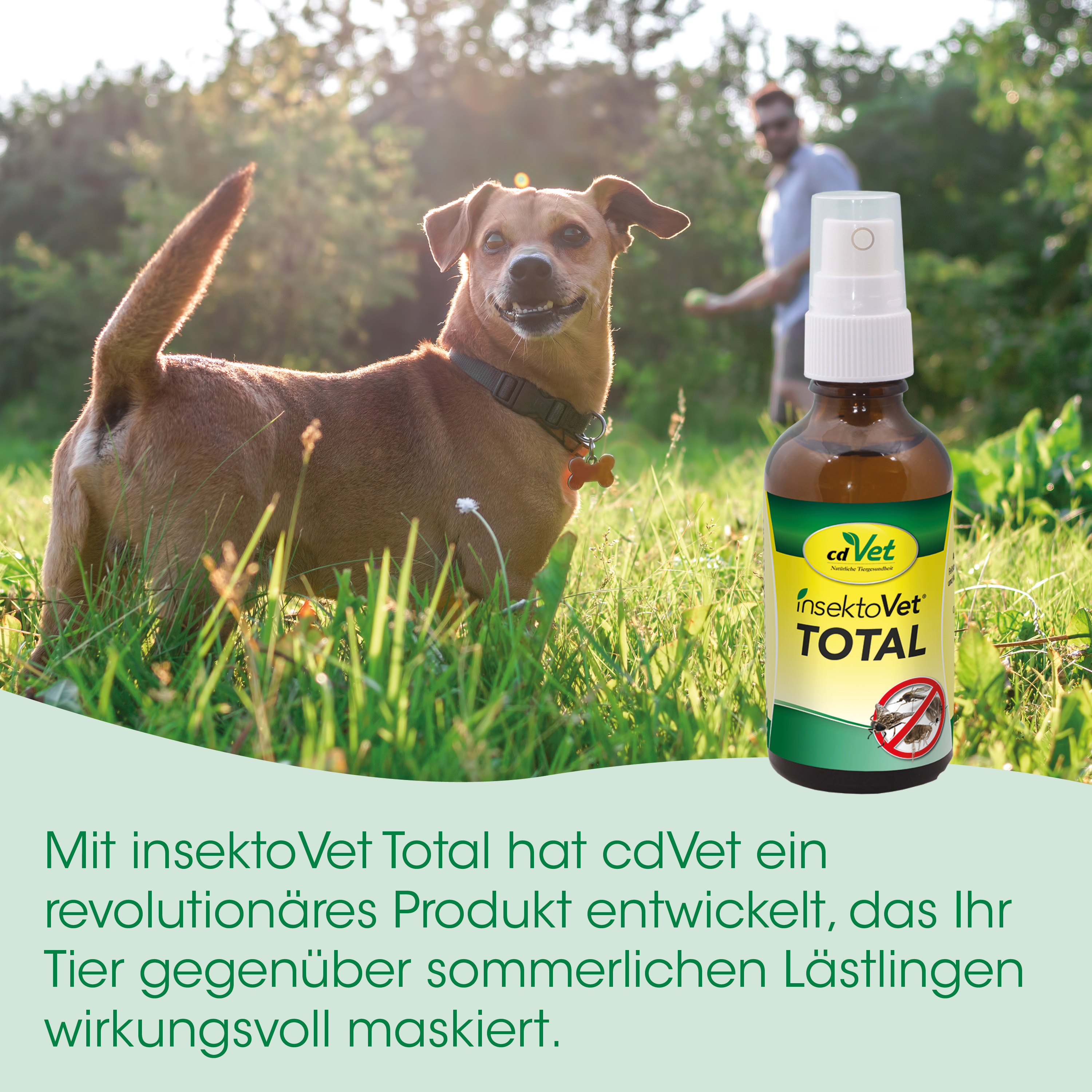 Hund, Hunded.- Spray, Insektenschutz, Totale, Flasche