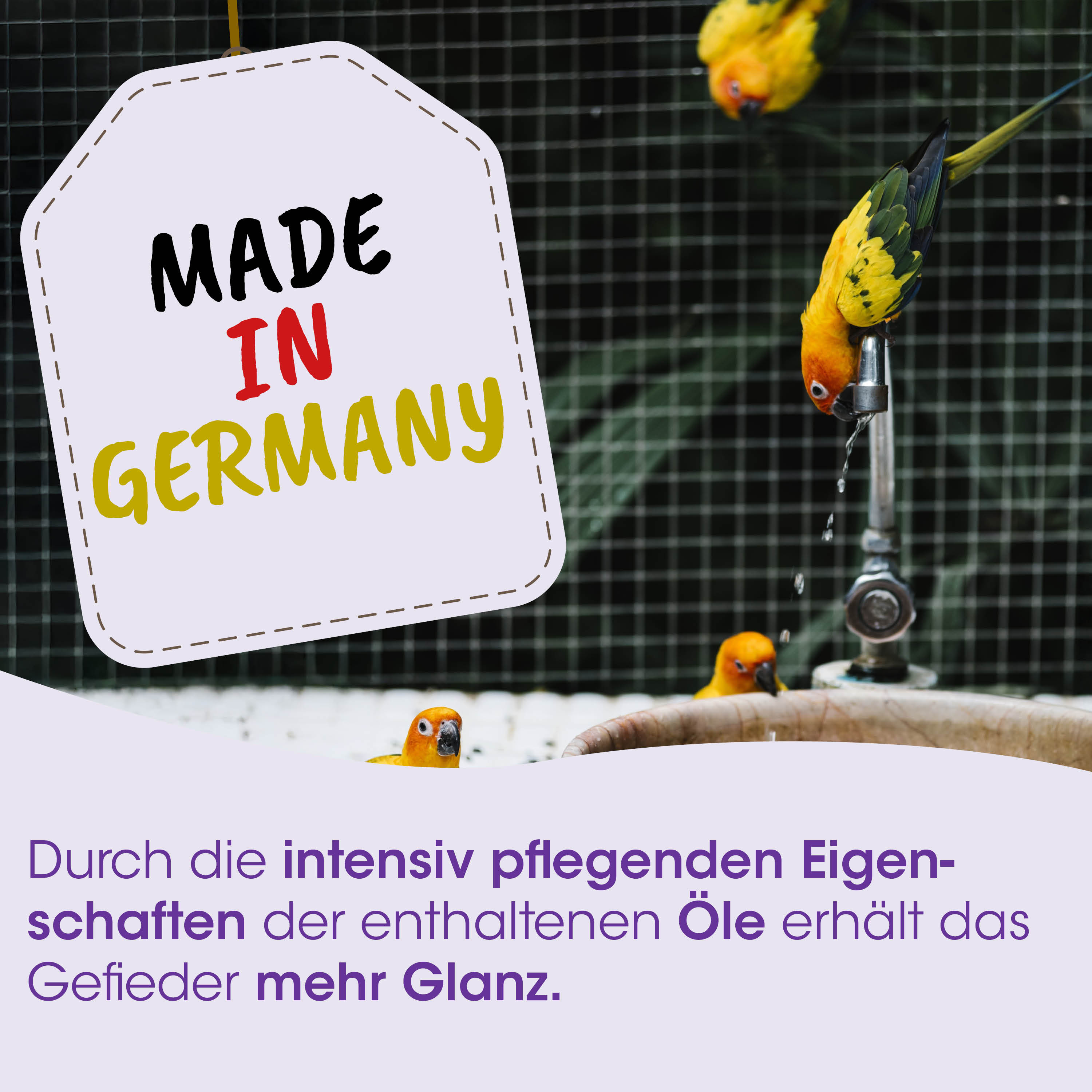 Made in Germany, Vögel, Papageien, Wasserspender, Aufhängehinweis