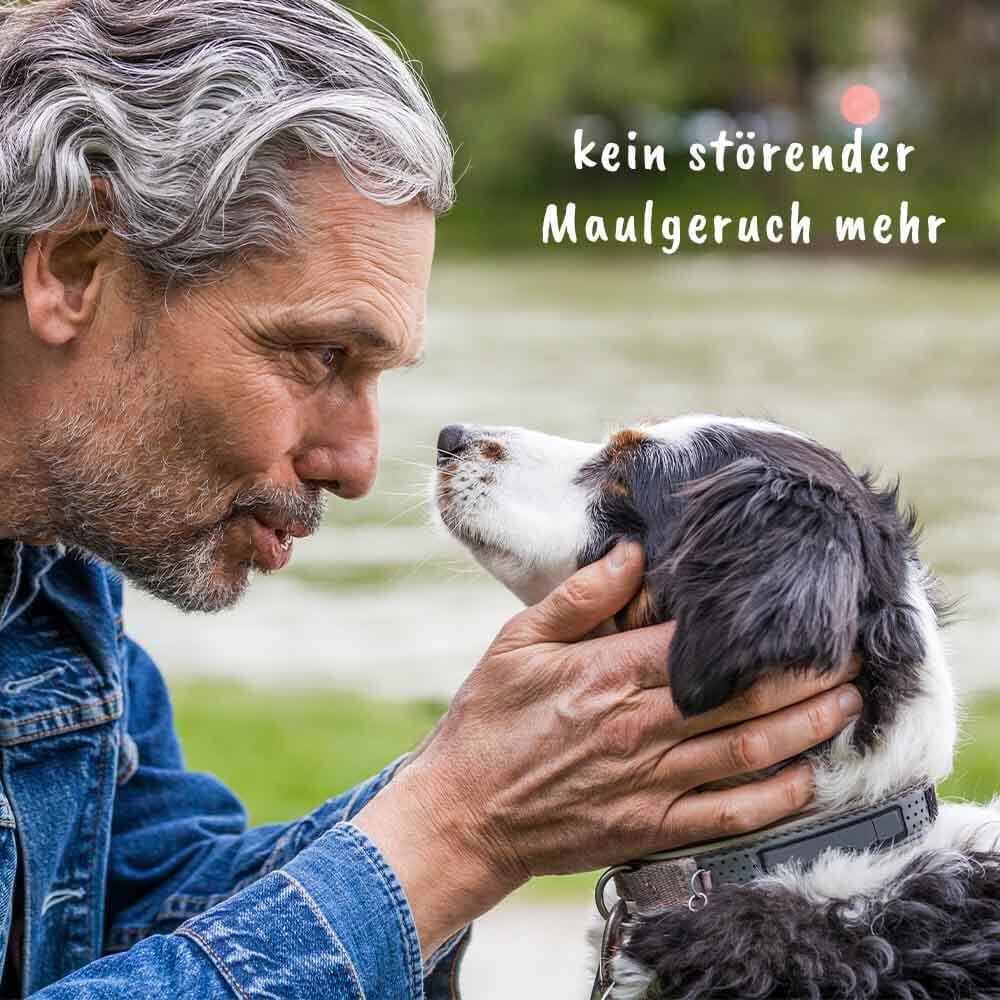 dentaVet Haleine fraîche 100 g