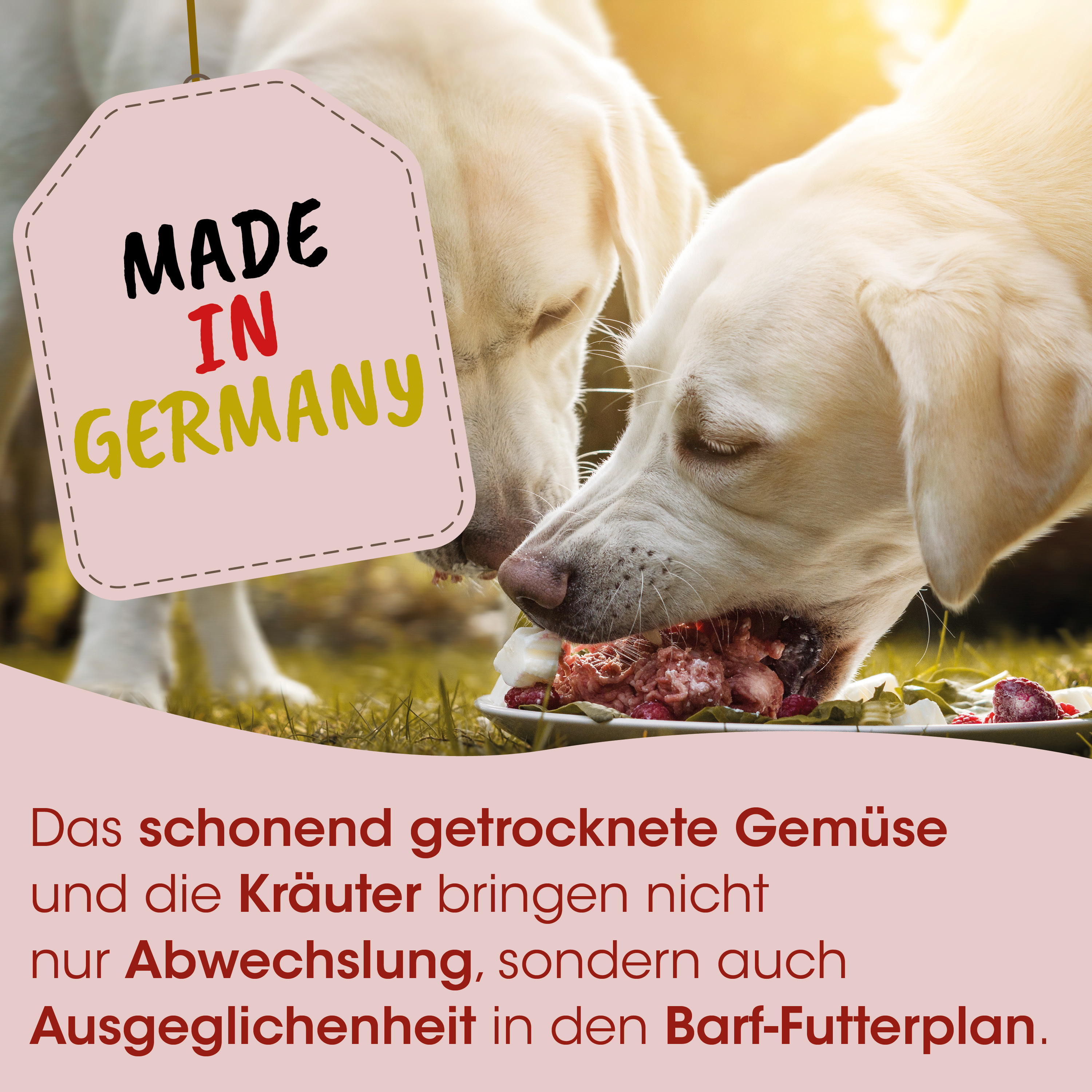 Hund, Hundeessen, Nassfutter, Knochen, Tierfutter