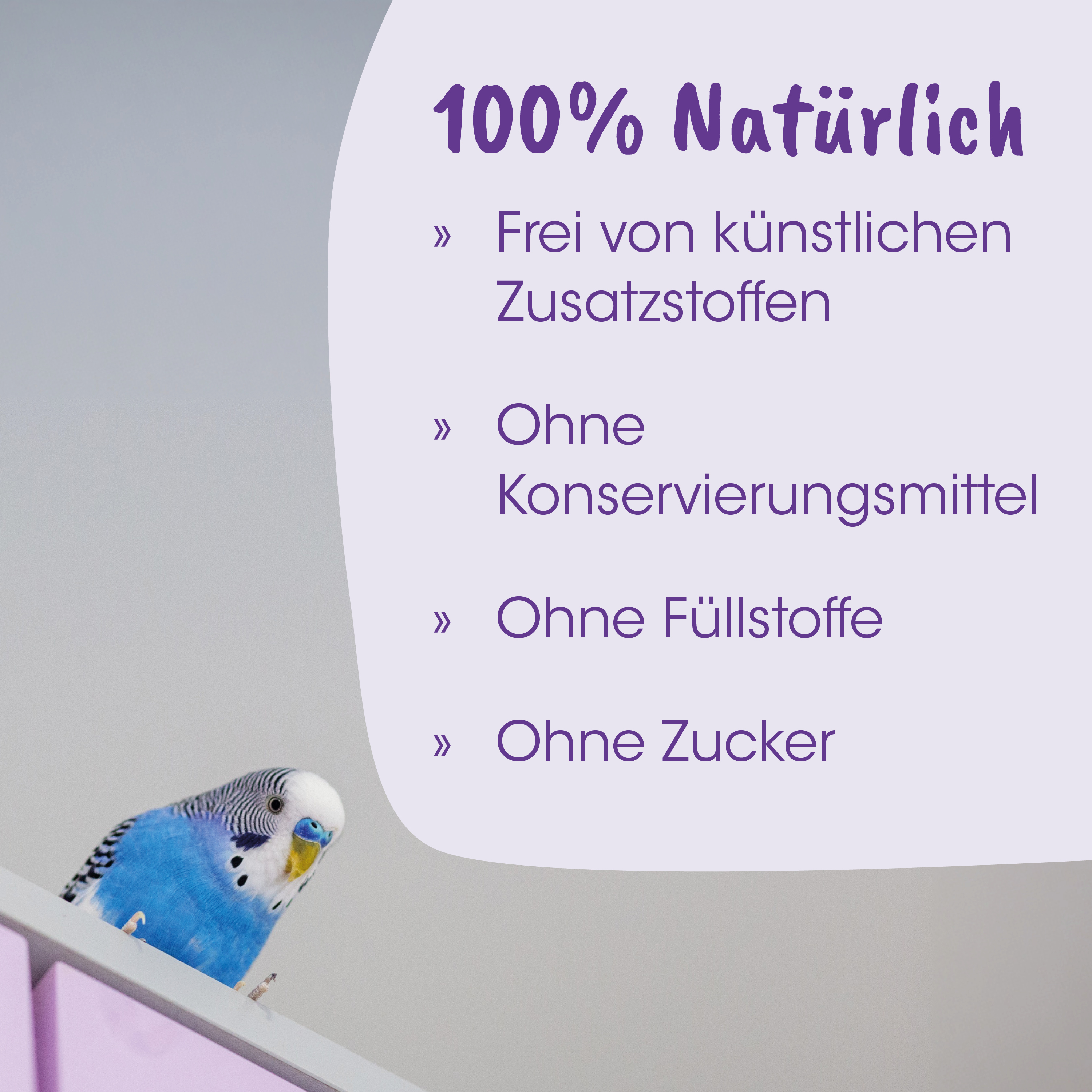Parrot, Blue parakeet, Vogel, Haustier-Zubehör, Bunte Vogelart