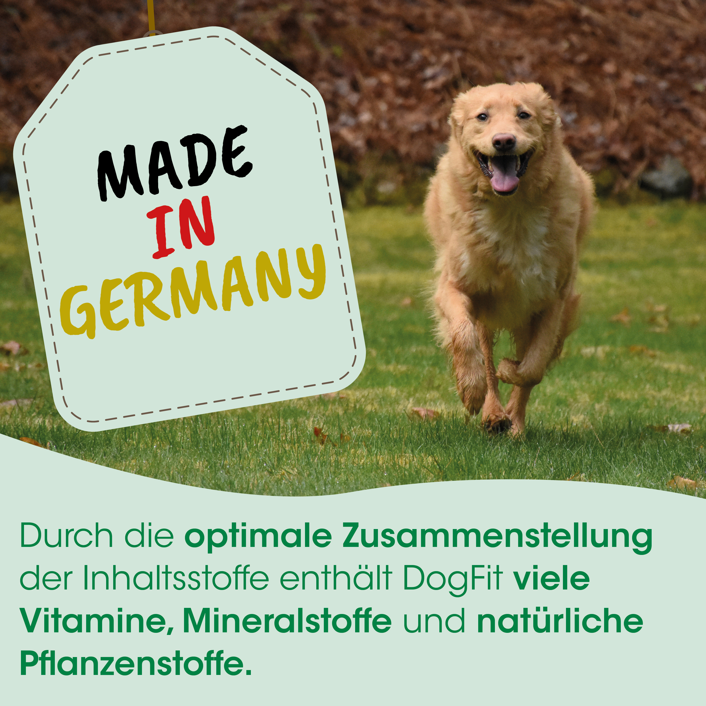 Hund, Laufendi, Gerät?, Hundefutter, Made in Germany