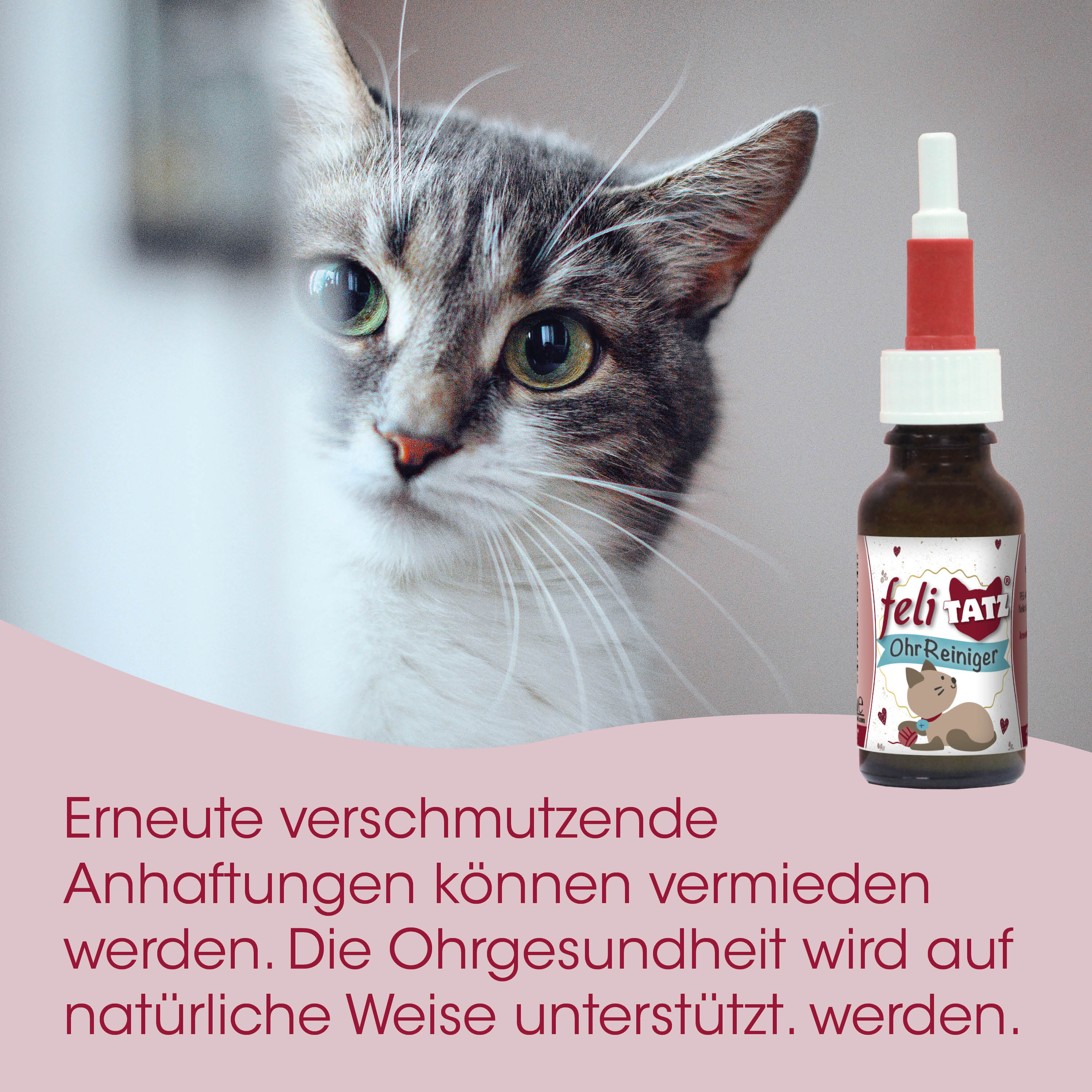 katze, ohrenreiniger, flasche, pflegeprodukt, tiergesundheit