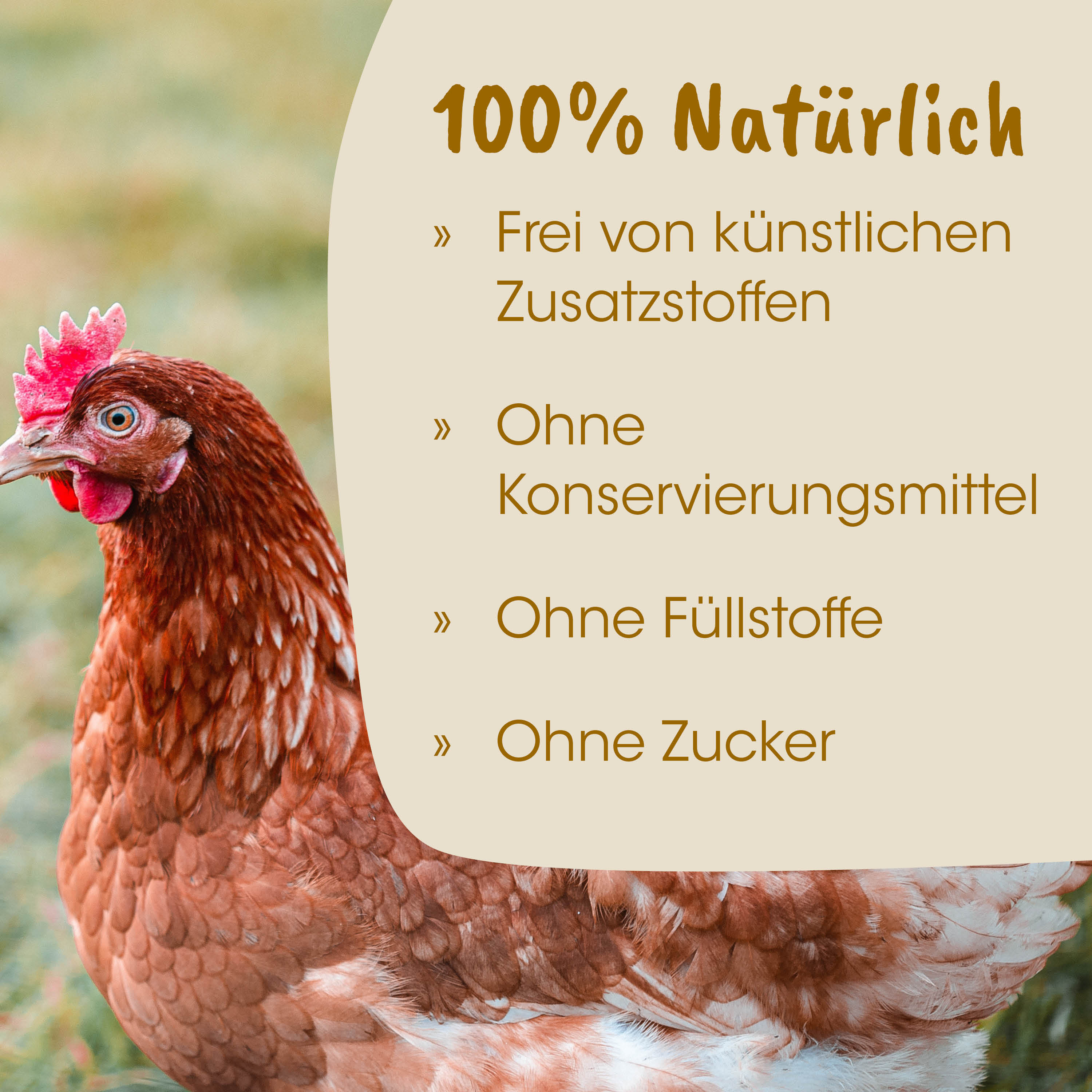 Huhn, Henne, Hahn, Vogel, Geflügel