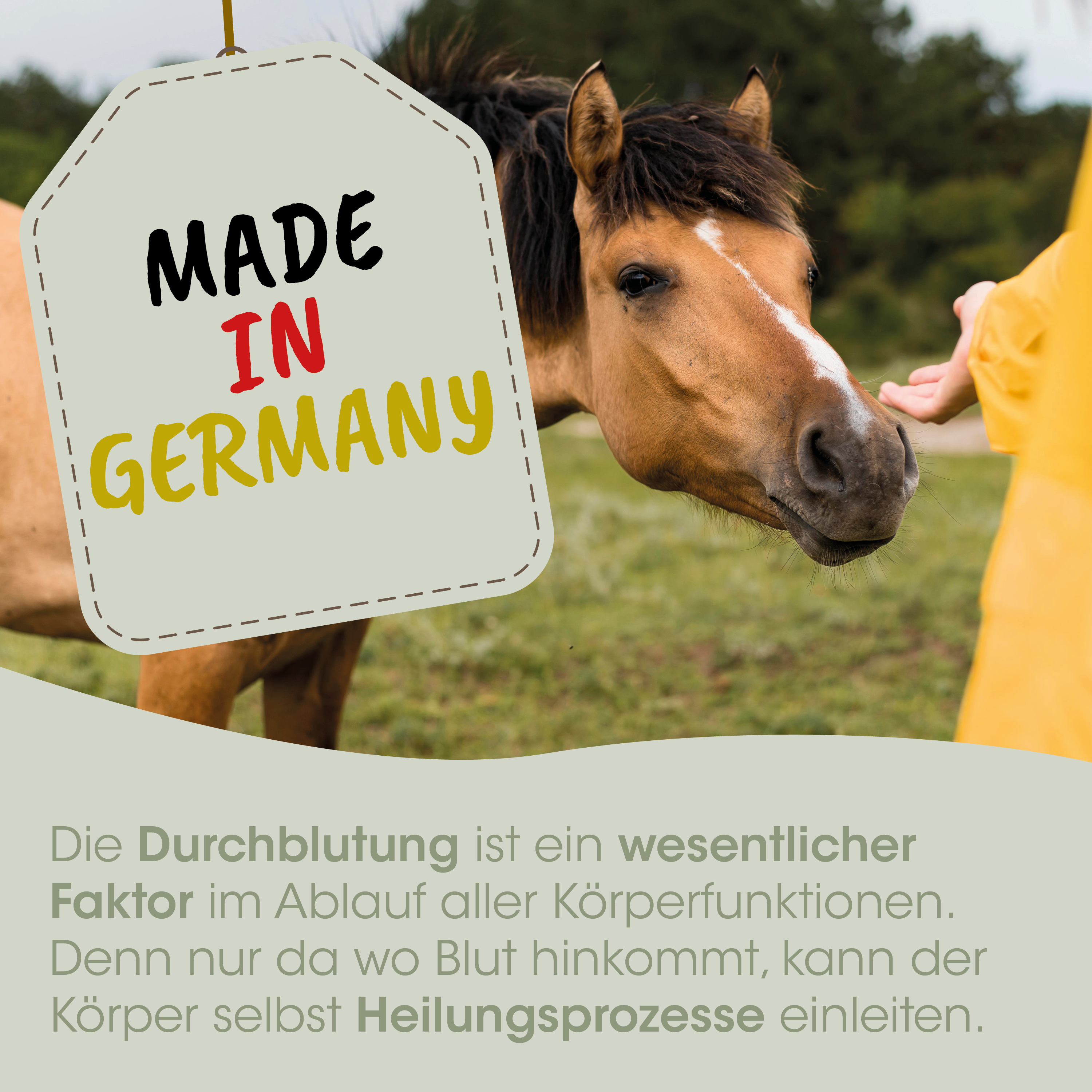 horse, pferd, mane, hellbraun, handgeschildet