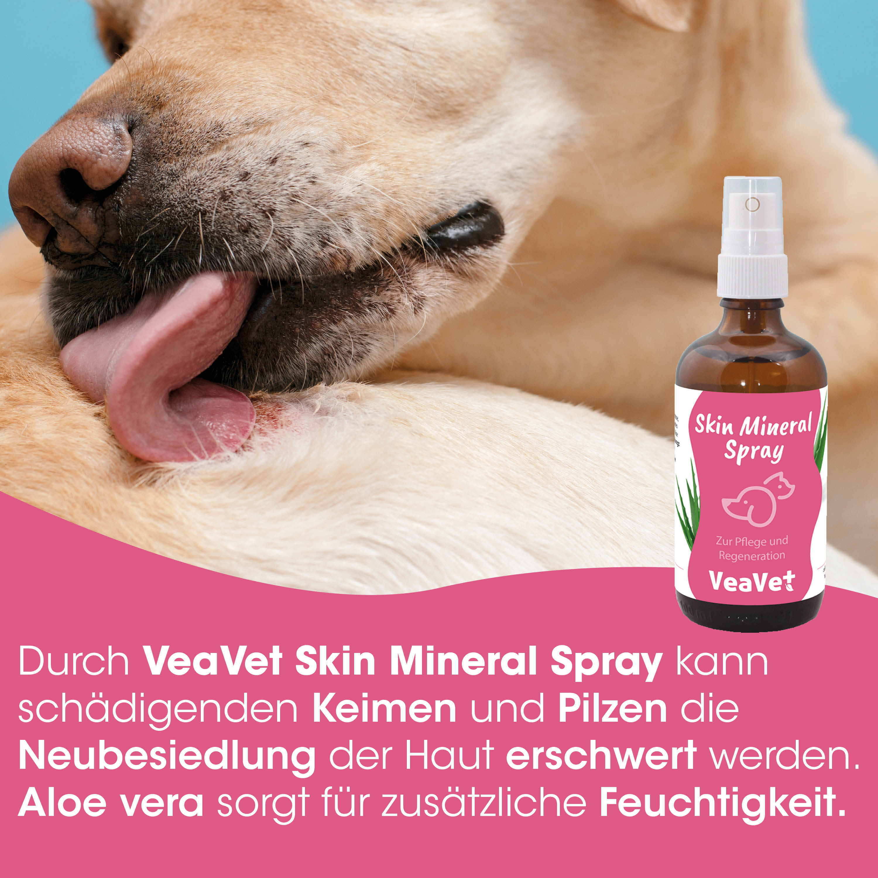 Hund, Hautpflege, Sprüher, Skin Mineral Spray, Veavet