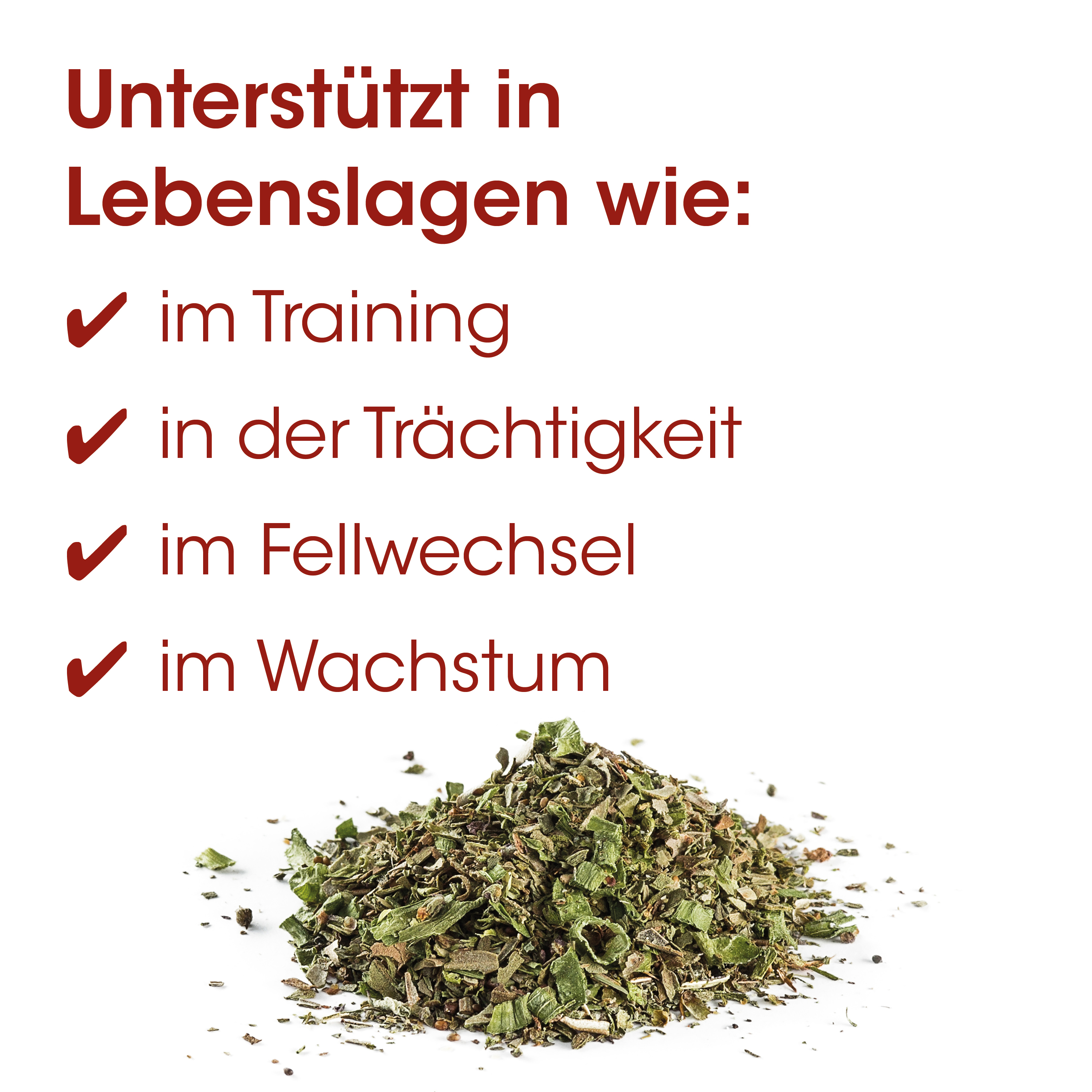 Kraut, Kräuterpulver, getrocknete Kräuter, Grüner Tee?, Kleiner Haufen Kräuter