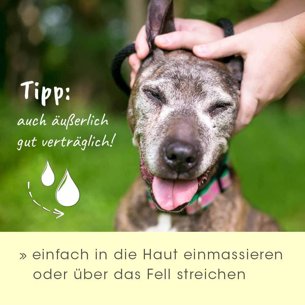 insektoVet Huile de Coco-Cumin Noir Biologique 100 ml