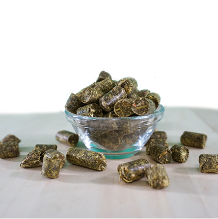 EquiGreen Friandises Vertes aux Herbes Biologiques 2,6 kg