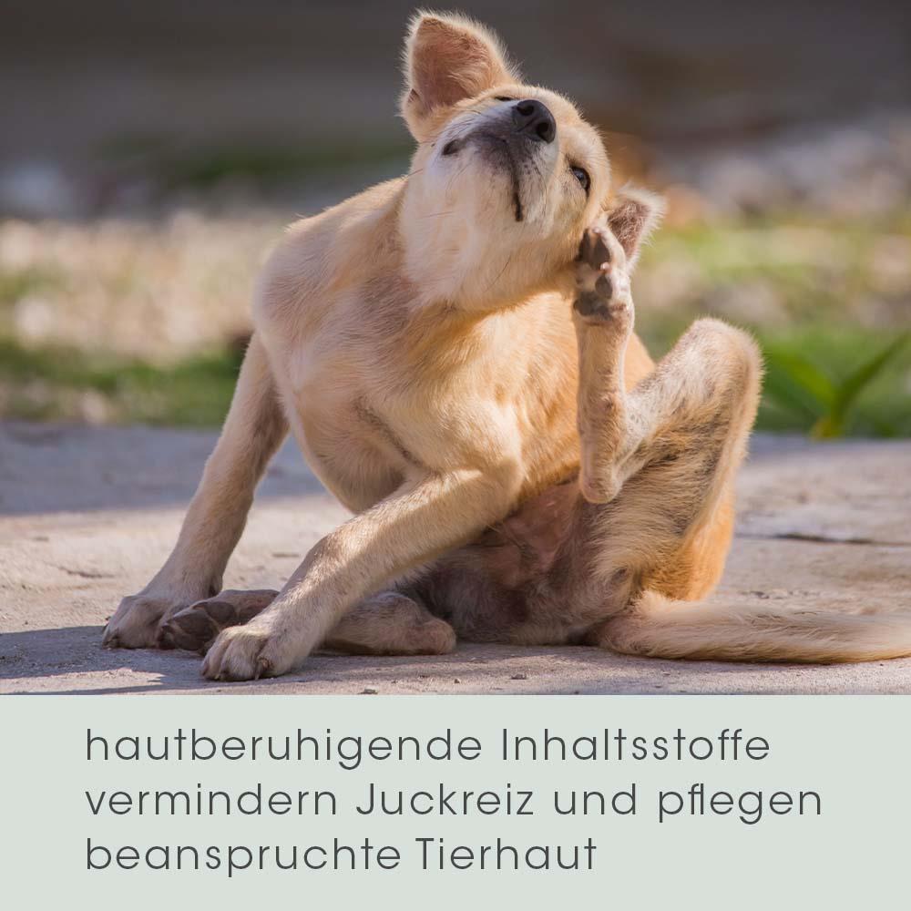 VeaVet Hépatique Spray 20 ml