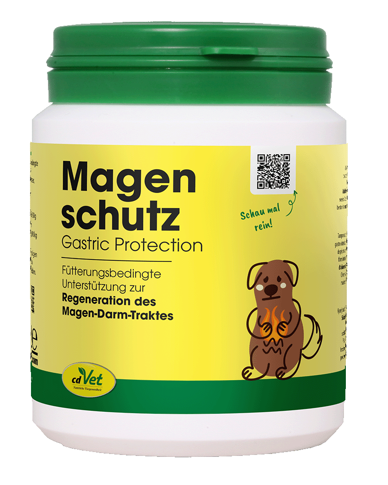 Protection Gastrique