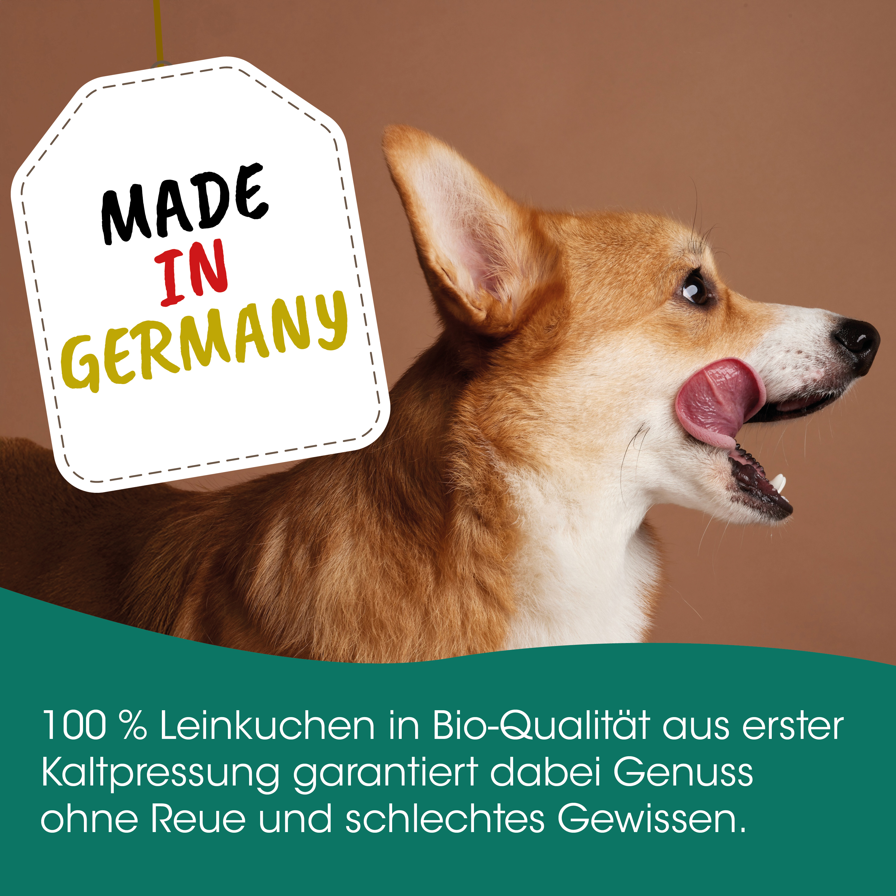 Hund, Leckerlies, Bio-Qualität, Knochen?, Tierfutter