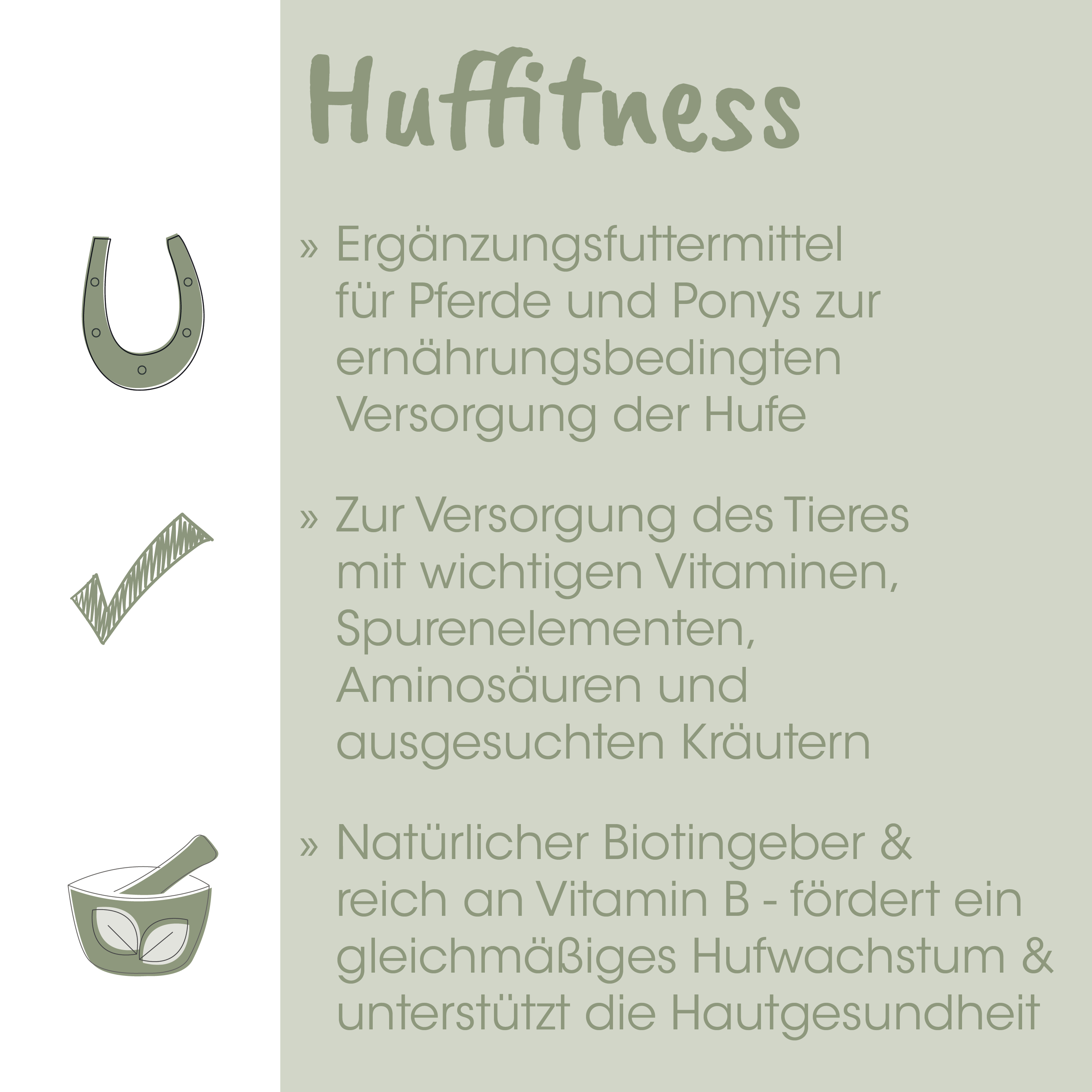 hufness, pferdeernährung, vitamine, körpertaler, zahnpflege