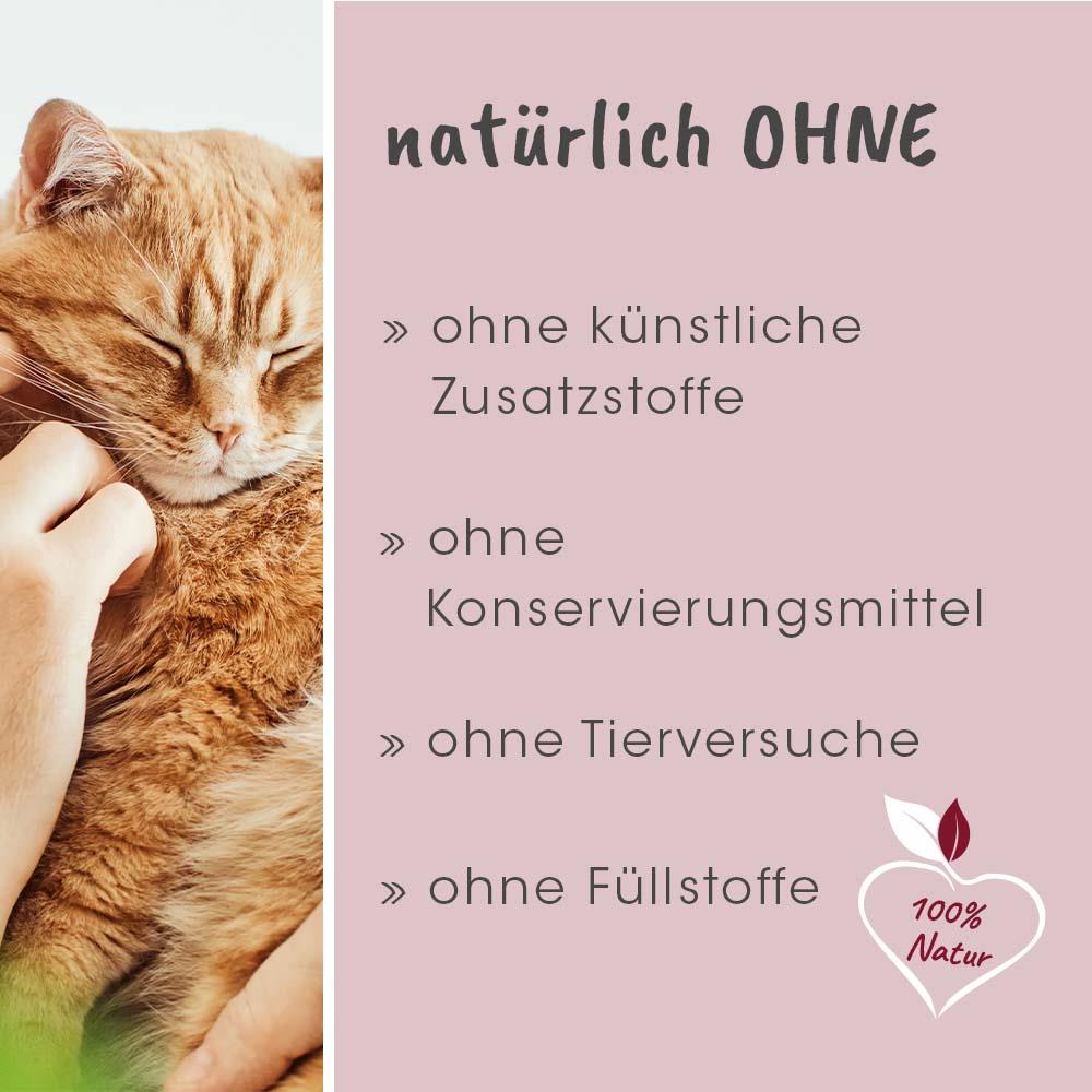 feliTATZ Soin Dentaire 20ml