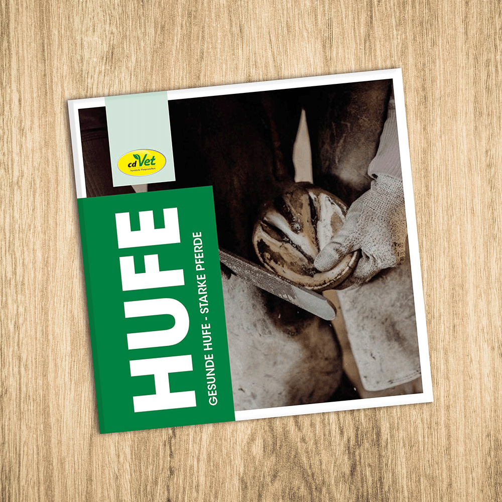 Werbung, Plakat, Holz, Innenarchitektur, Hartholz