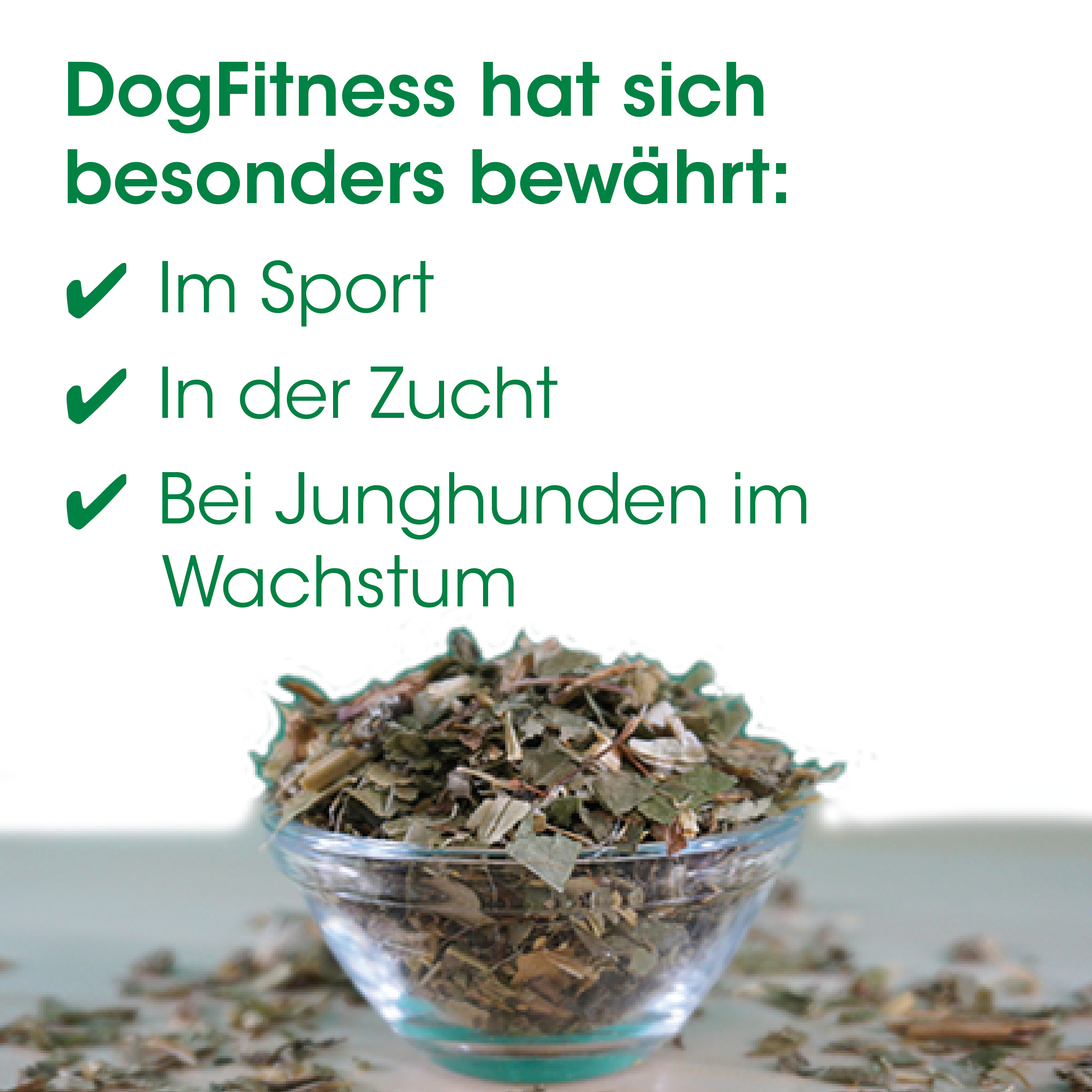 Teeblatt, Kräuter, Yang, Glasgefäß, Lose Blätter