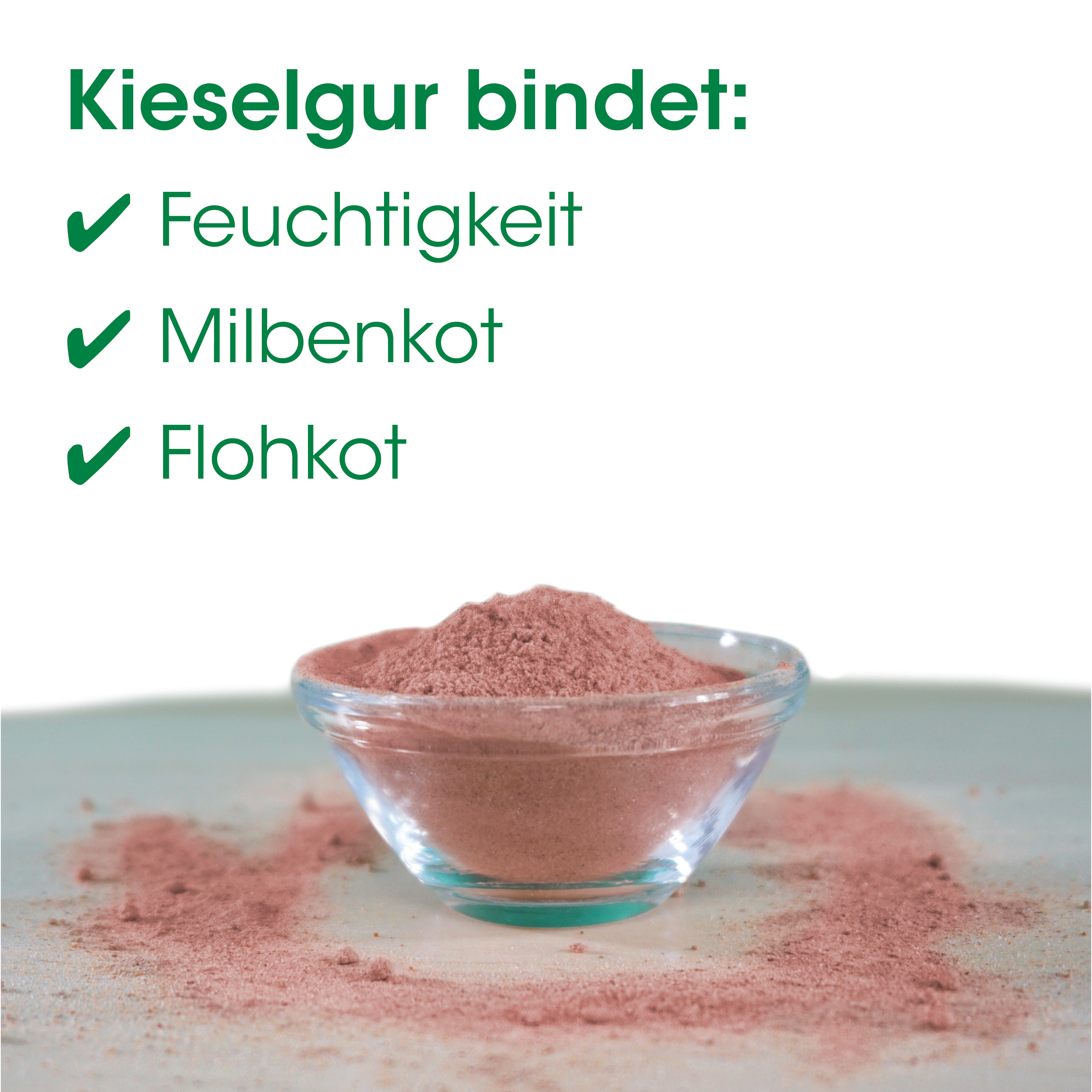 Kieselgur, Pulver, Kieselgur-Puder, Feuchtigkeit, Milbenkot