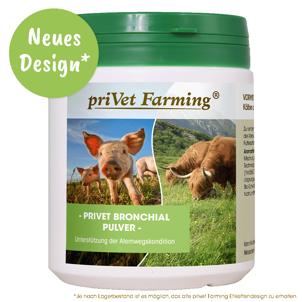 privet Bronchial Poudre 450 g