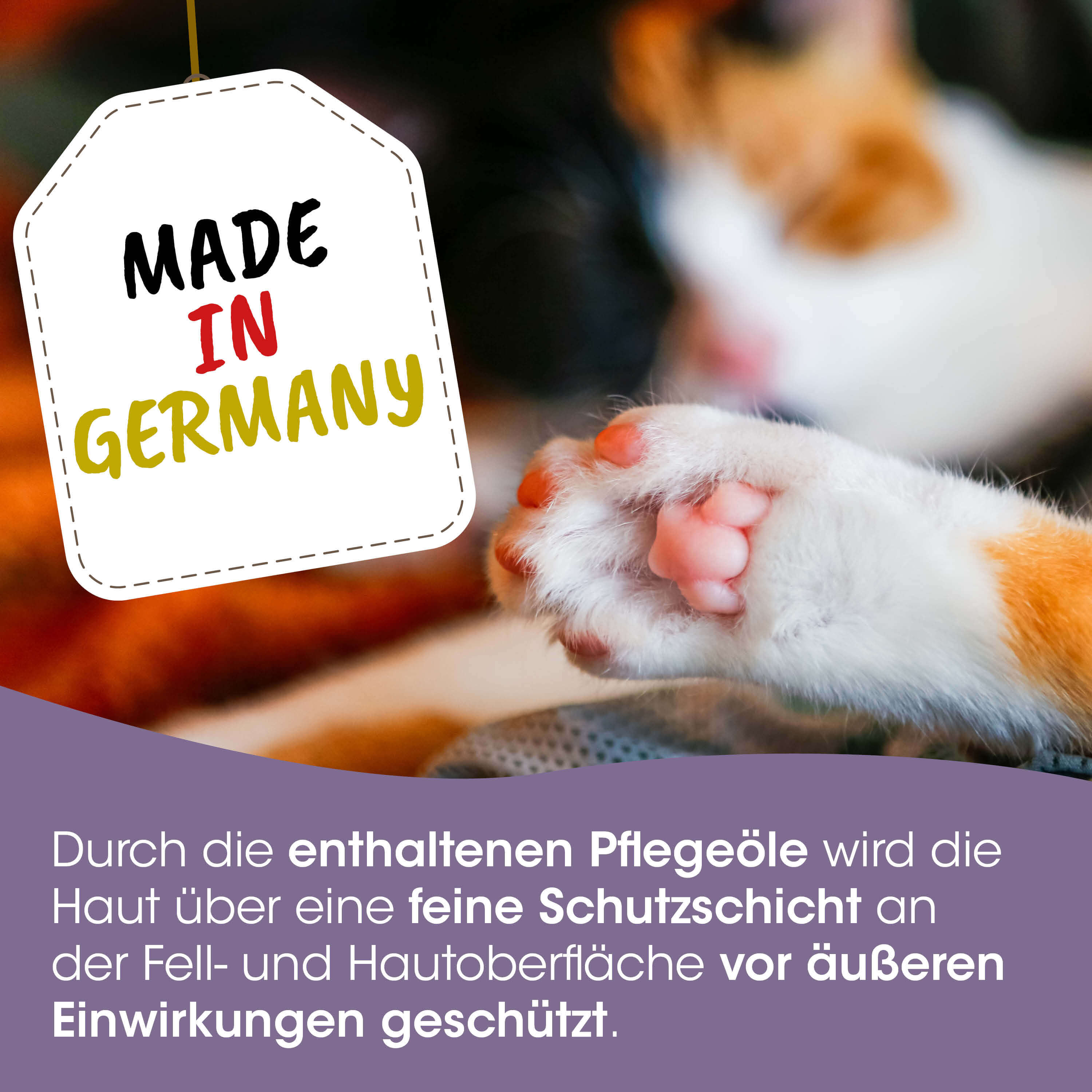 katzenpfote, orangeweiß, calico, tierpflege, hergestellt in deutschland