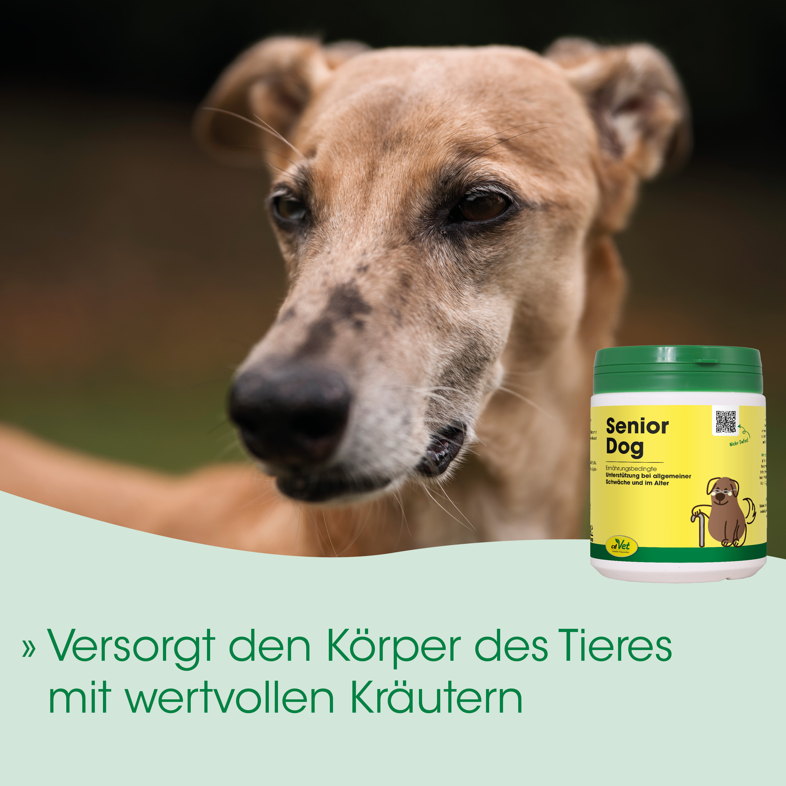 Hund, Hundeergänzung, Seniorenhund, Kräuter, Dose