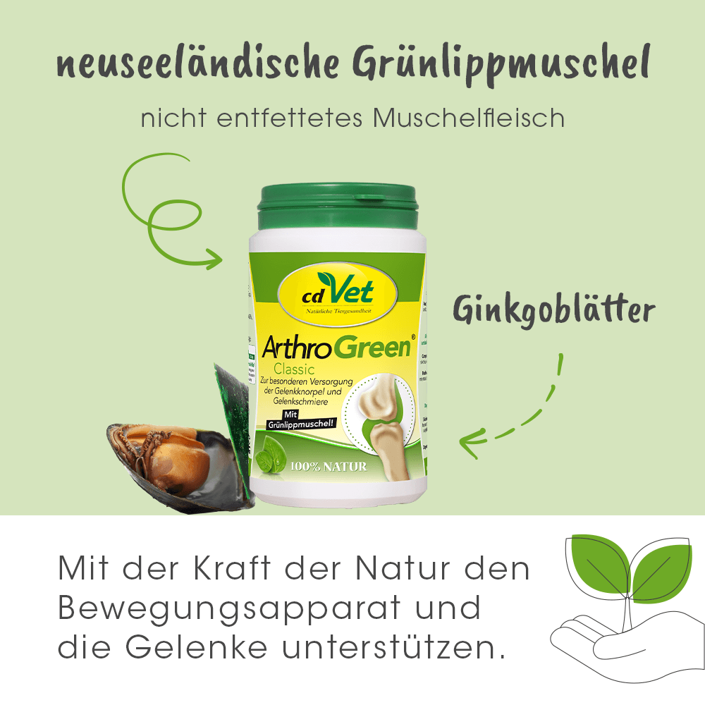 ArthroGreen Classique 100 capsules