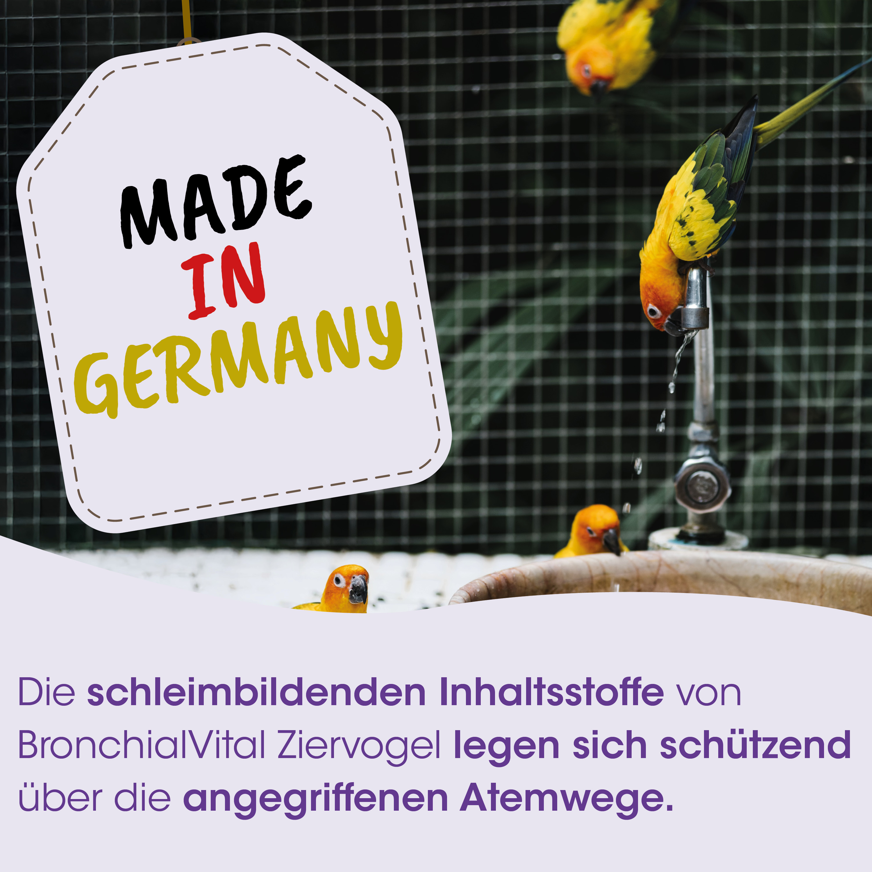 Vögel, Vogel, Wasserhahn, Zwinger, Hergestellt in Deutschland