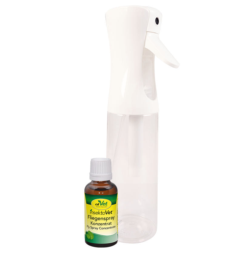 Bundle insektoVet Fliegenspray Konzentrat
