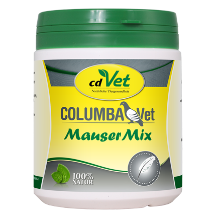 Essen, Mayonnaise, Kräuterig, Pflanze, Vogel