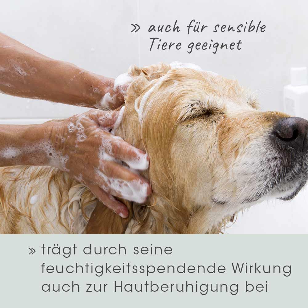 VeaVet Shampooing de Soins 100 ml