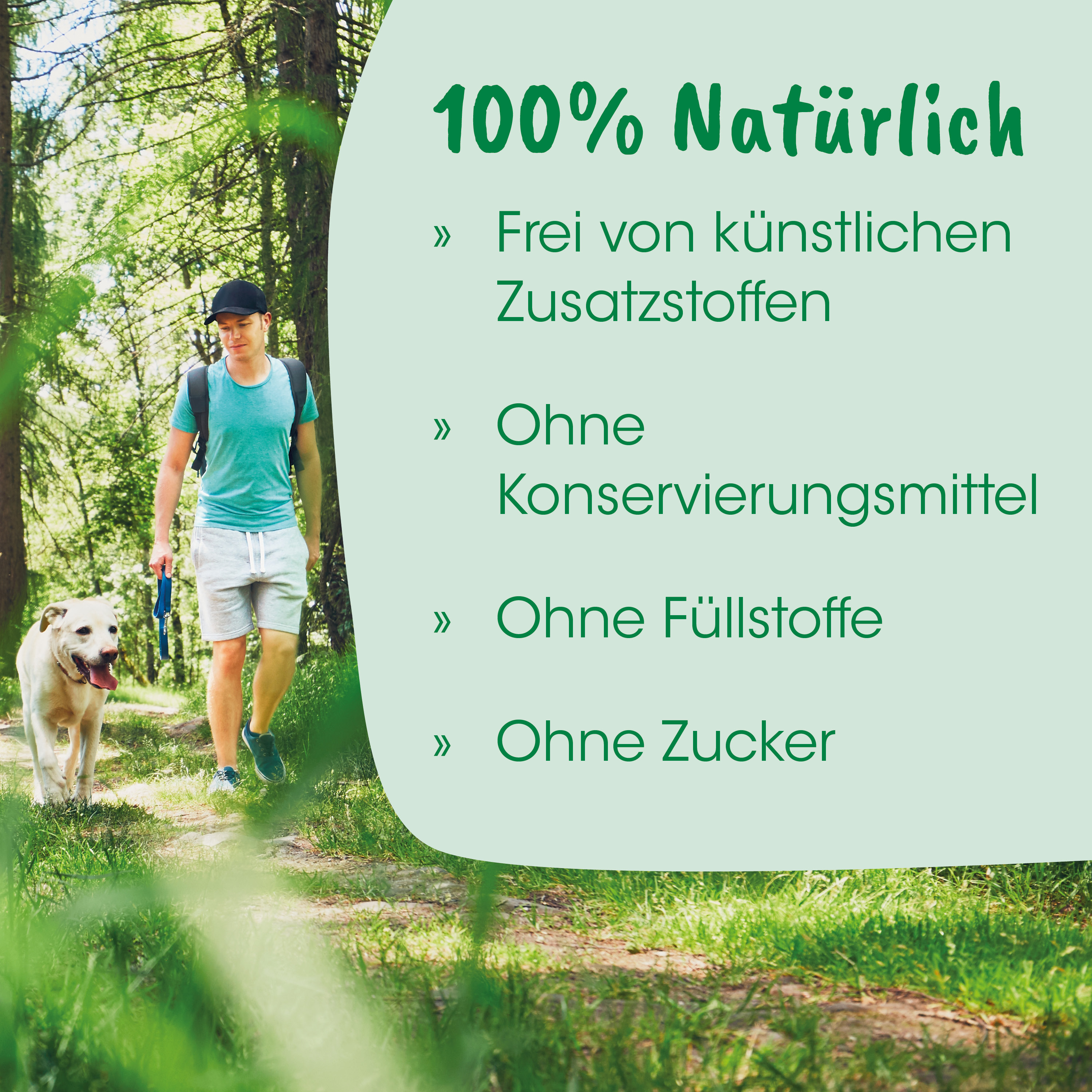 Outdoor, Wandern, Hund, Läufer, Rucksack