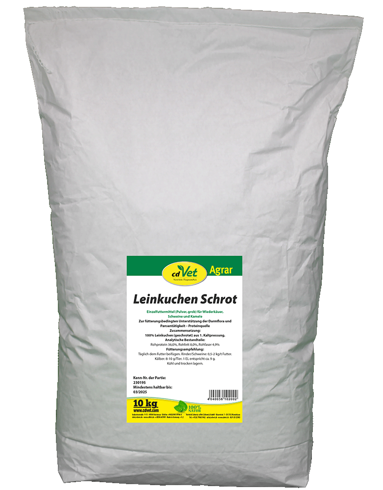 Puder, Mehl, Essen, Kleidung, Hemd