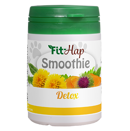 Fit-Hap Smoothie Désintoxication 20 g
