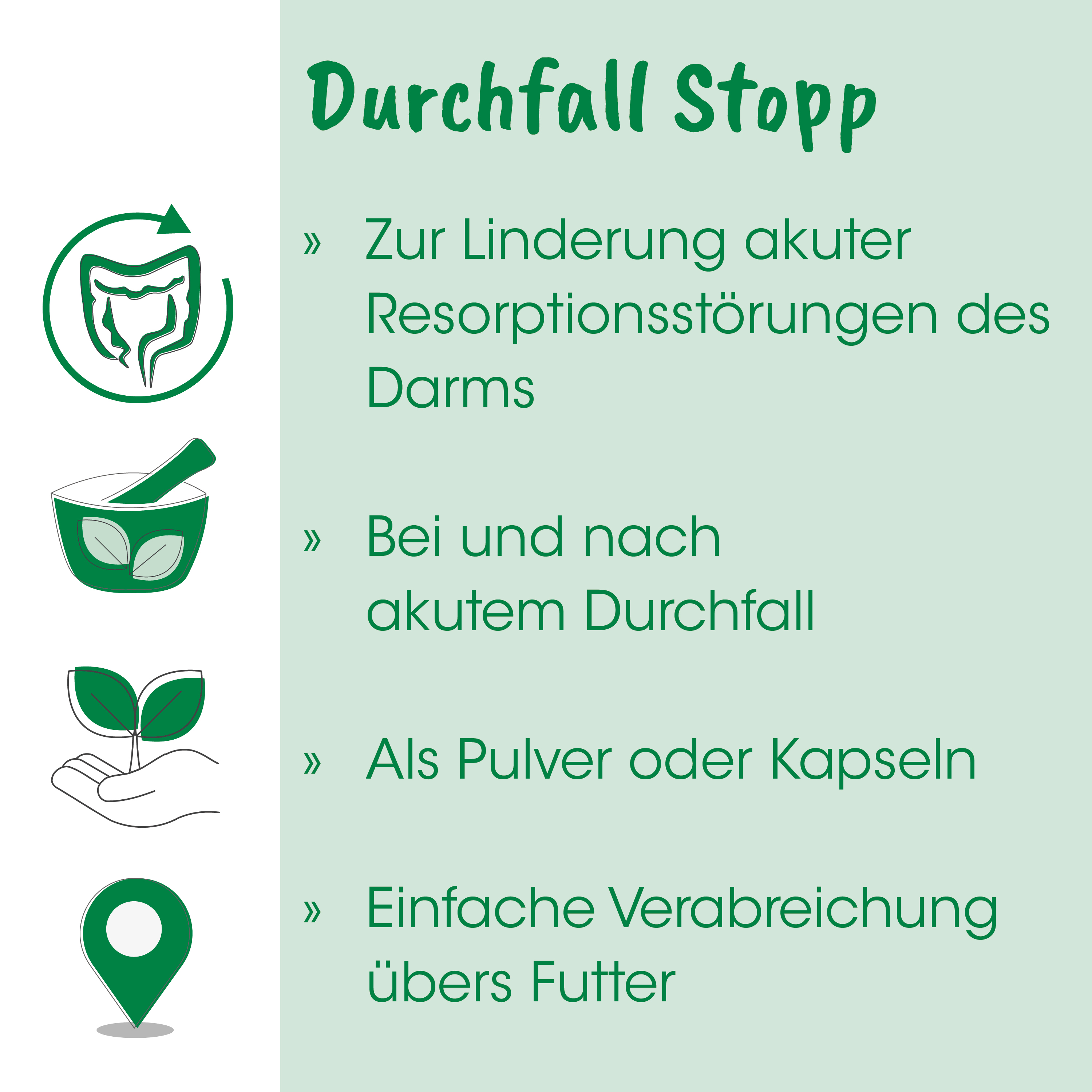 Durchfall Stopp, Kapseln, Pulver, Pflanzenextrakt, Mischpflanze