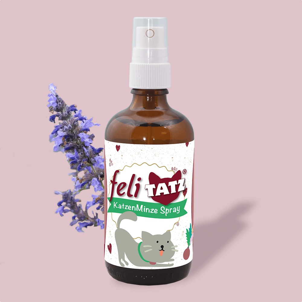 feliTATZ Spray de Cataire 100 ml
