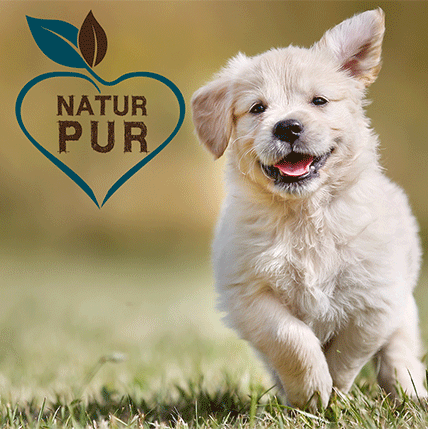 Fit-Crock Chiots Agneau 10 kg