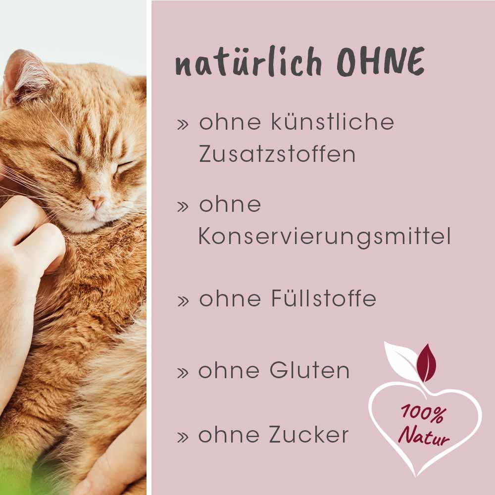 feliTATZ Senior 70 g