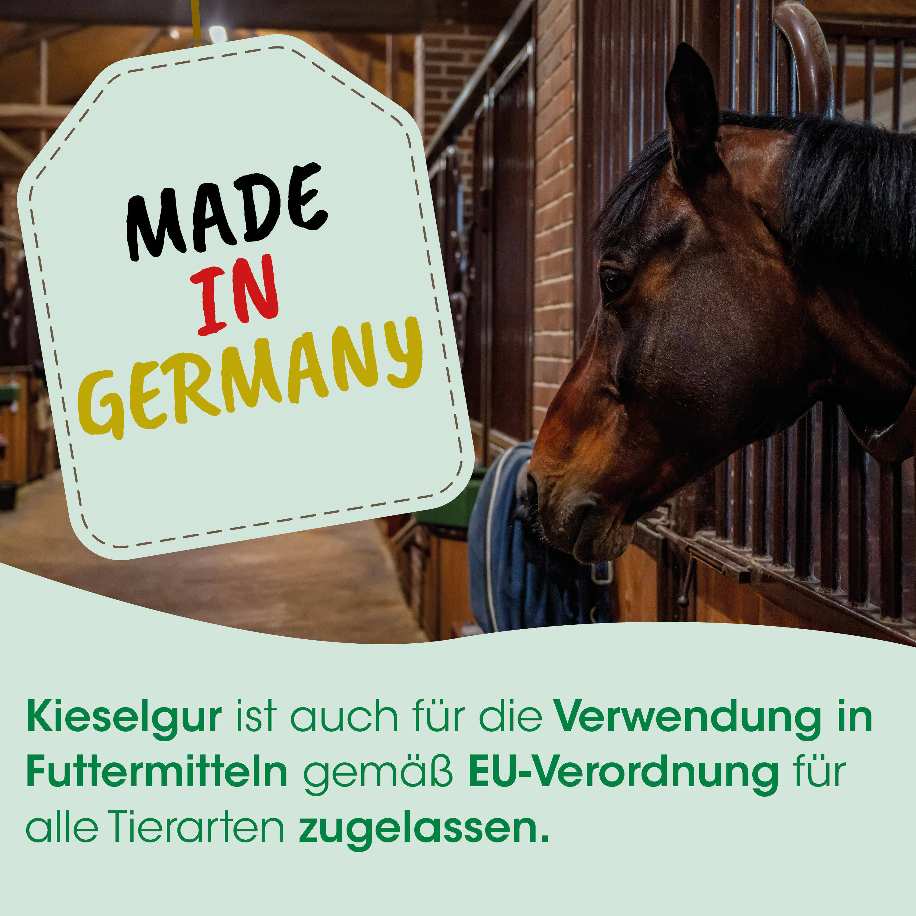Pferd, Hintergrundbanner, Made in Germany, Kopfansicht, Stall