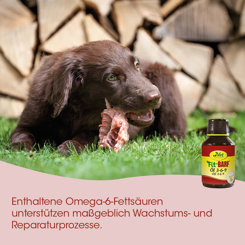Hund, Knochen, Fell, Ölflasche, Tierarztbedarf