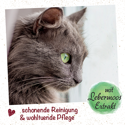Tennis, Tennisball, Tier, Katze, Haustier