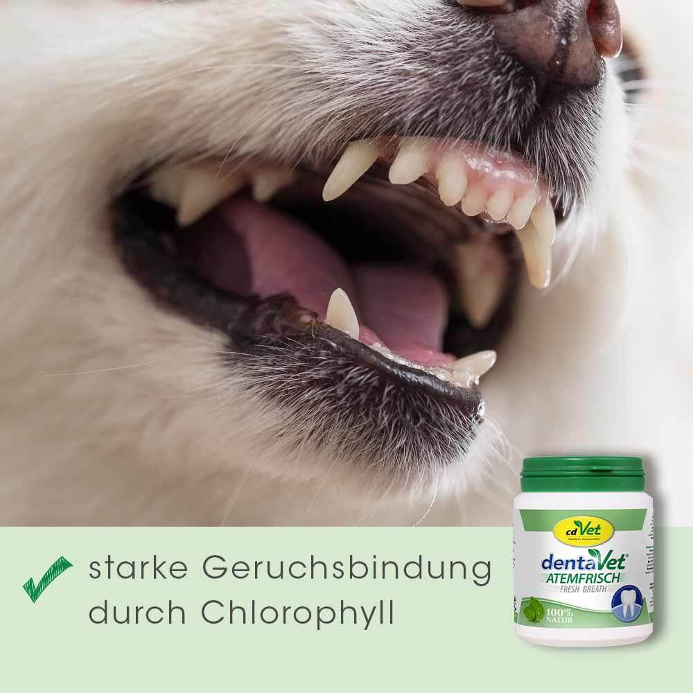 dentaVet Haleine fraîche 350 g