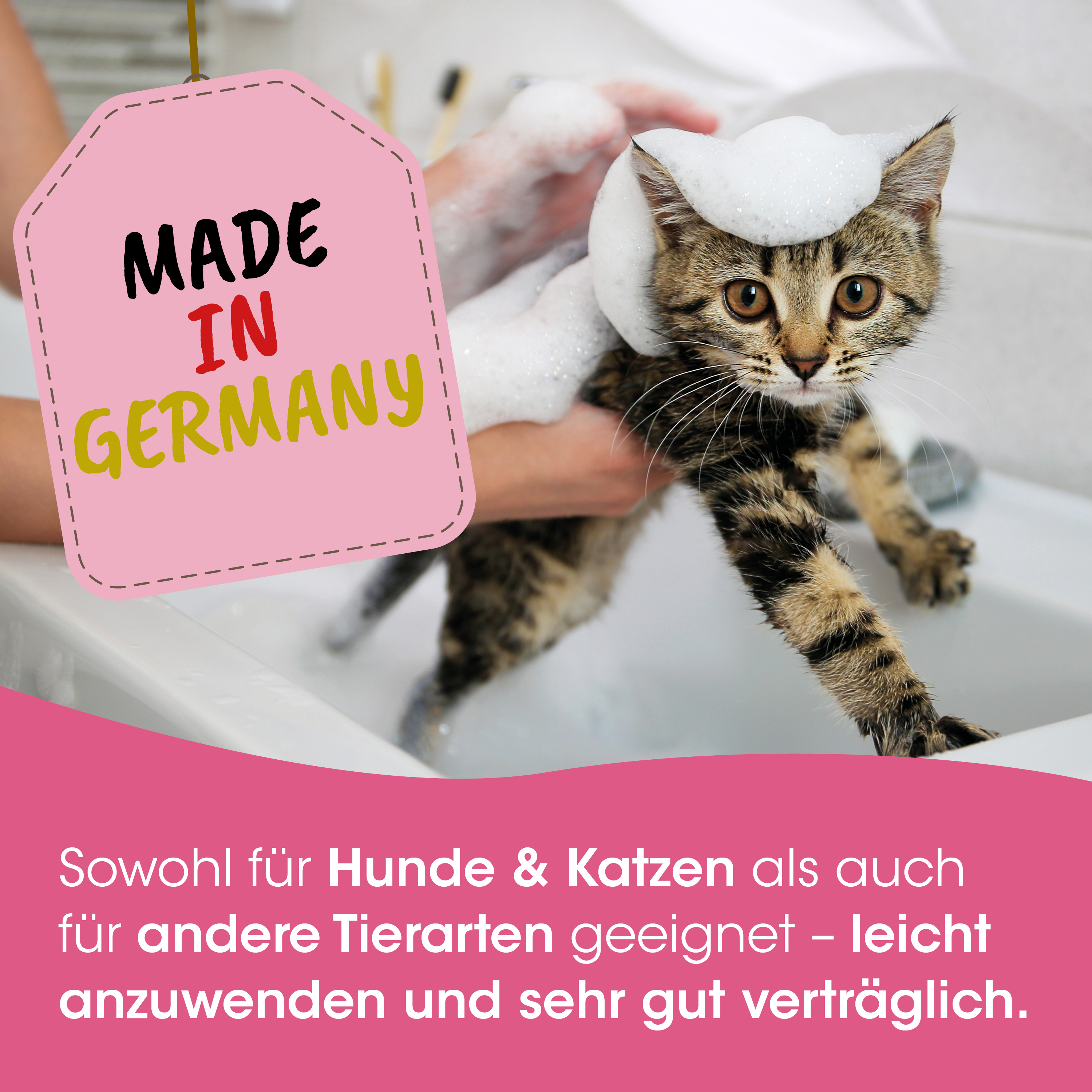 Katze, Bad, Haustier, Schaum, Waschen