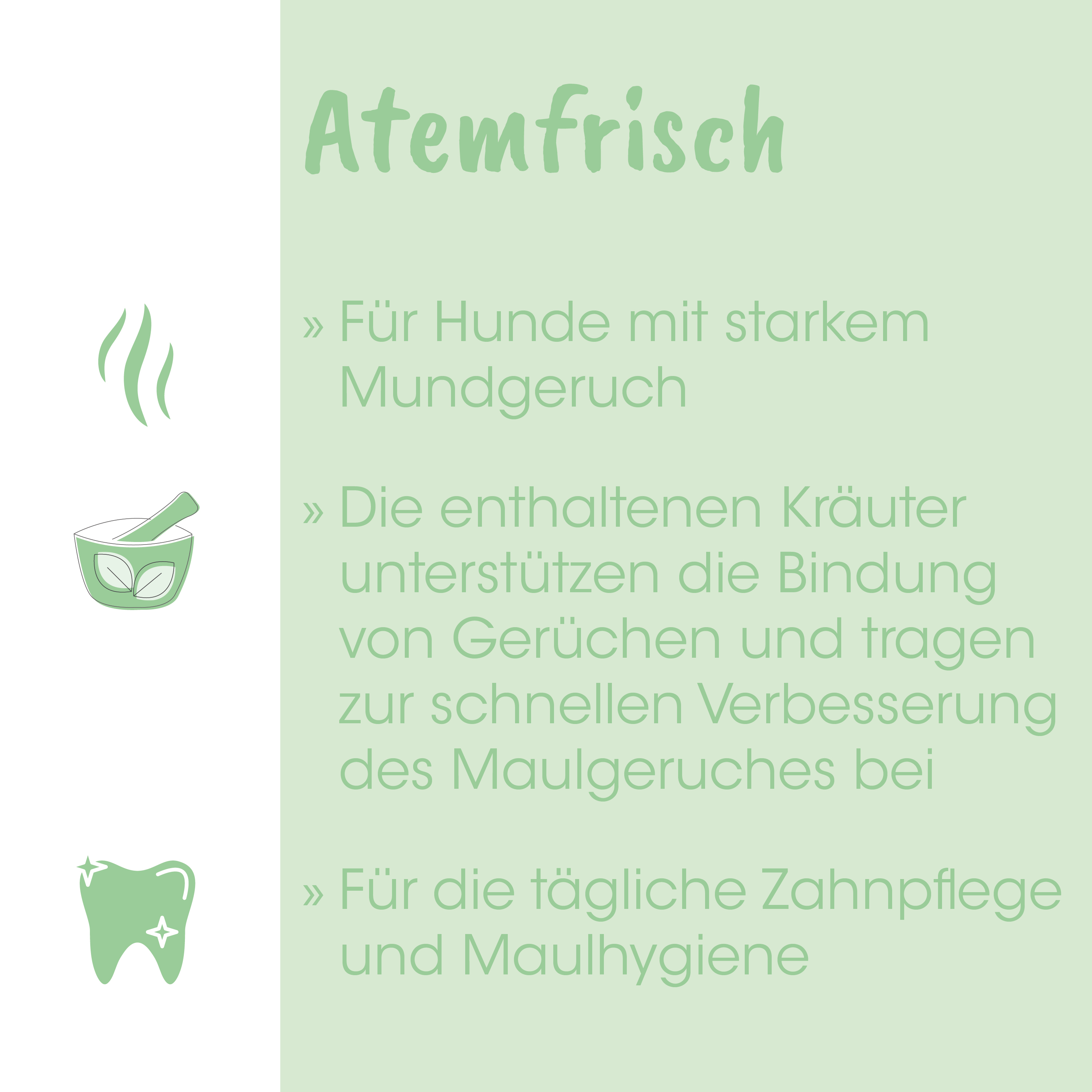 Zahn, Zahnpflege, Mundpflege, Mundgesundheit, Zahnreinigung