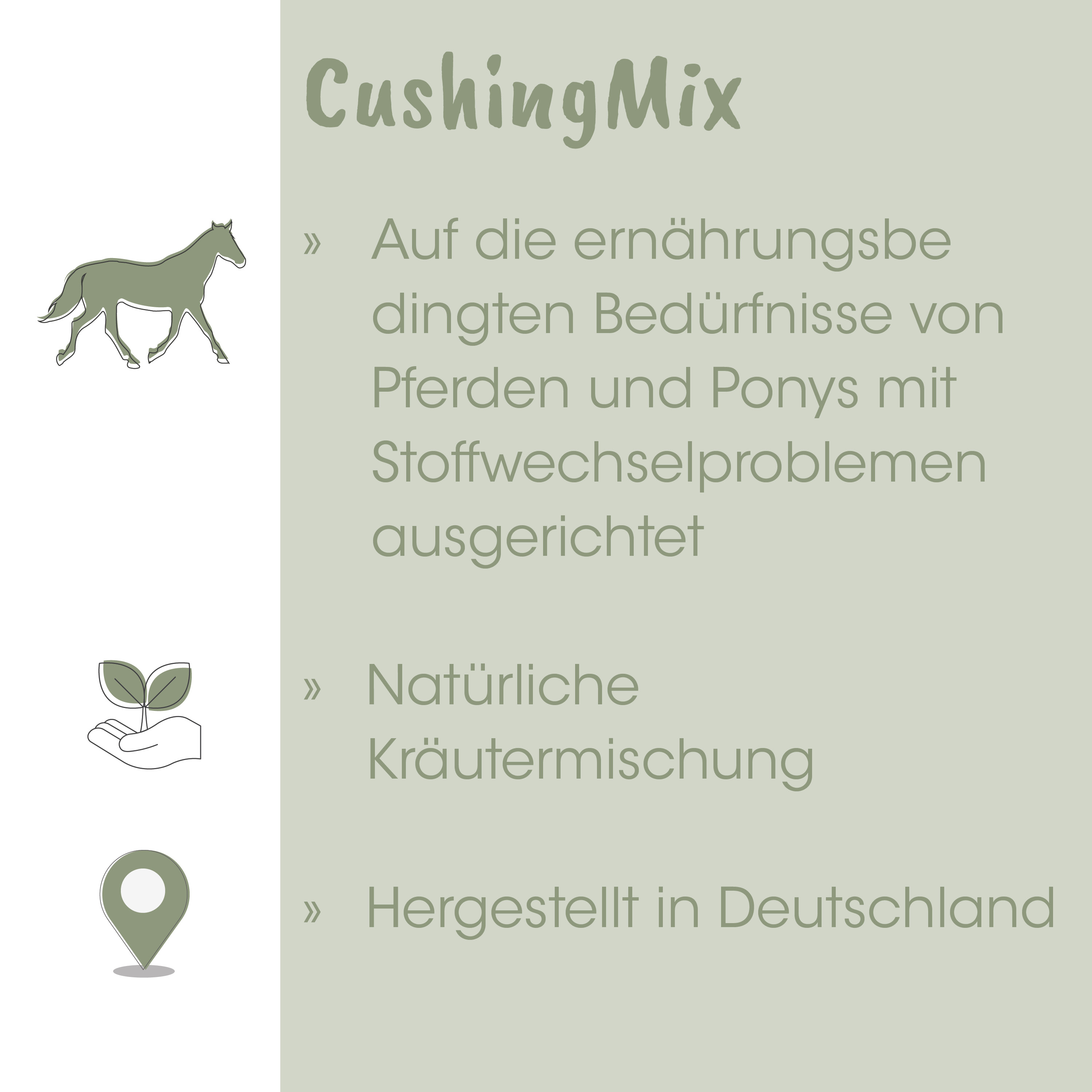 Pferd, Pony, Illustration, Hintergrundgrün, Naturprodukt