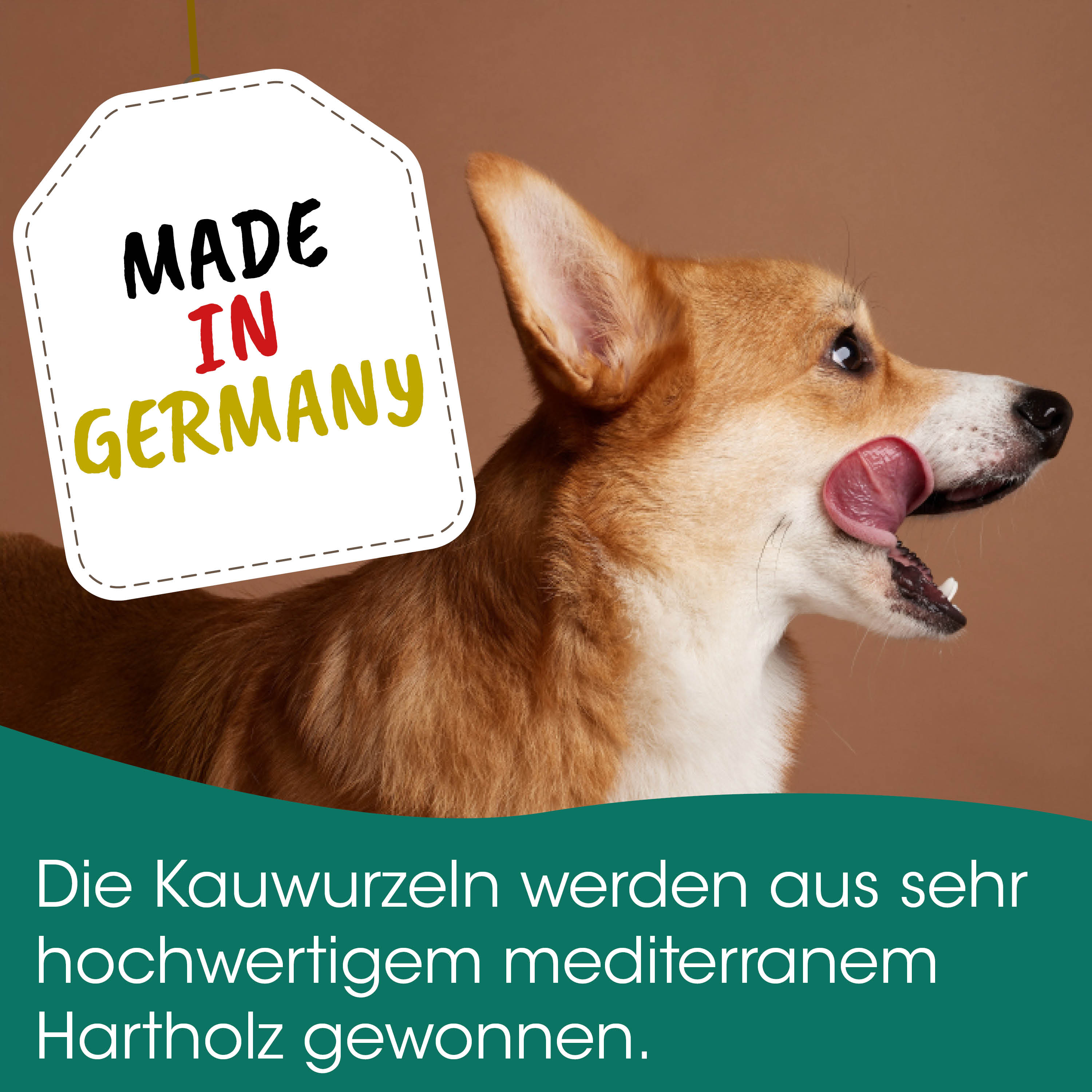 hund, profil, tier, braun, tan
