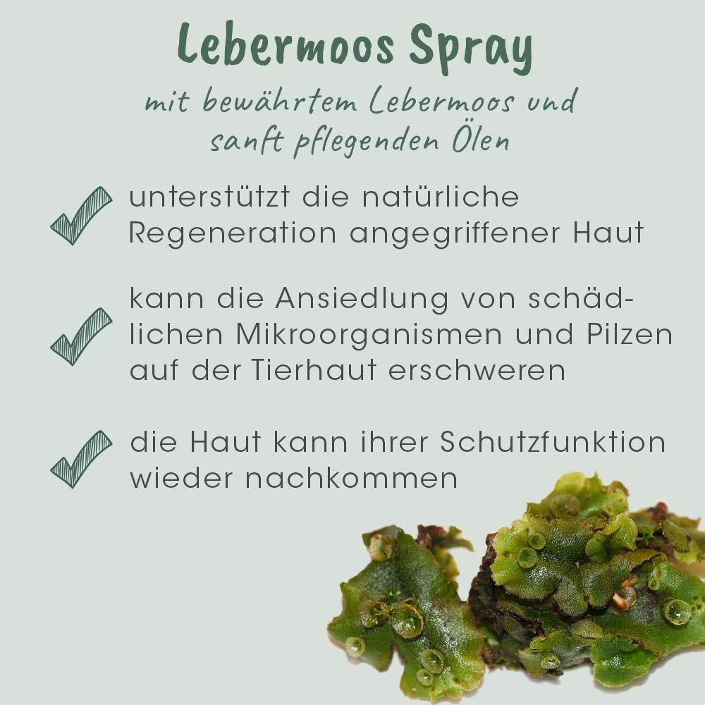 VeaVet Hépatique Spray 100 ml