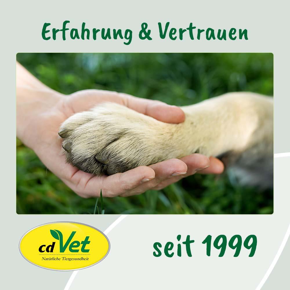 Elektronik, Hardware, Säugetier, Ratte, Nagetier