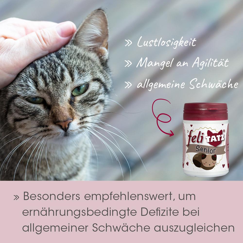 feliTATZ Senior 70 g