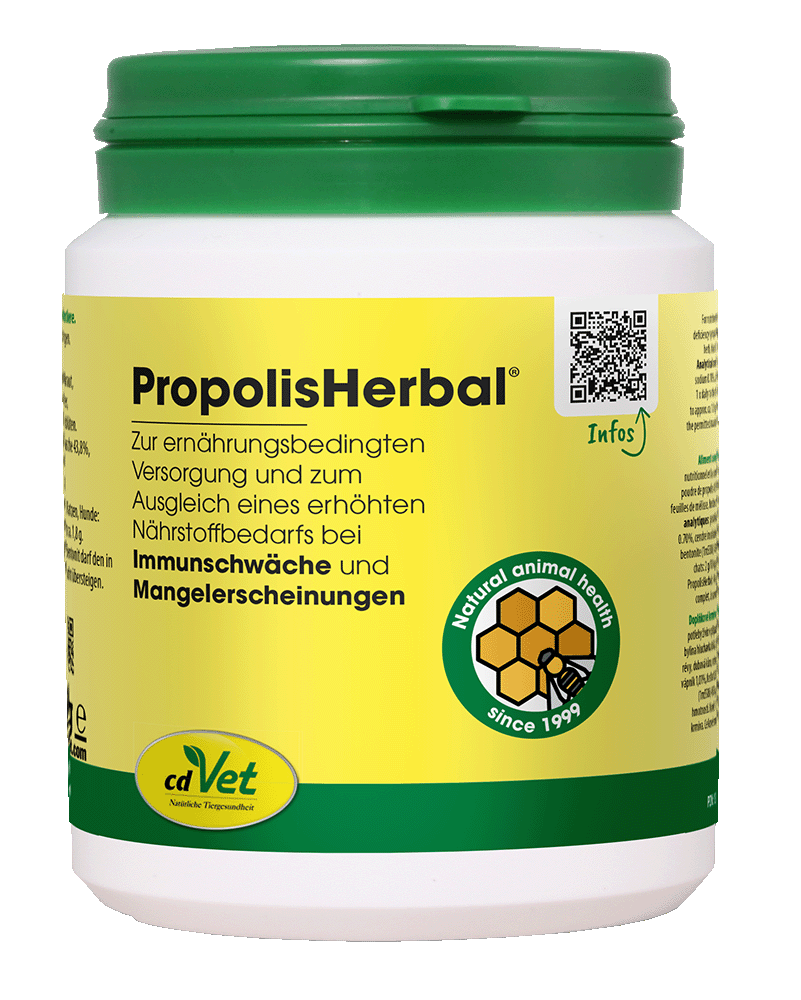 Cartilage supplement, Immune support, Vitamin supplement, Dog/cat health, Herbal supplement