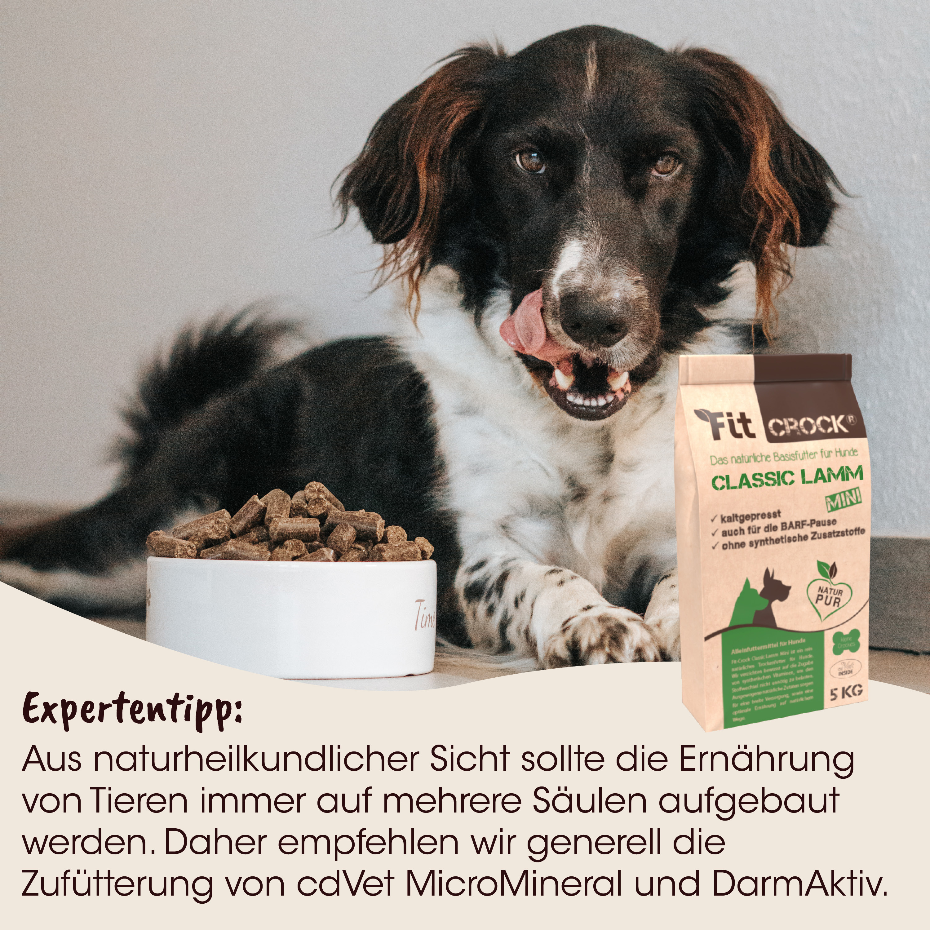 Hund, Tierfutter, Knochenfutter, Hundefutter, Beutel Verpackung
