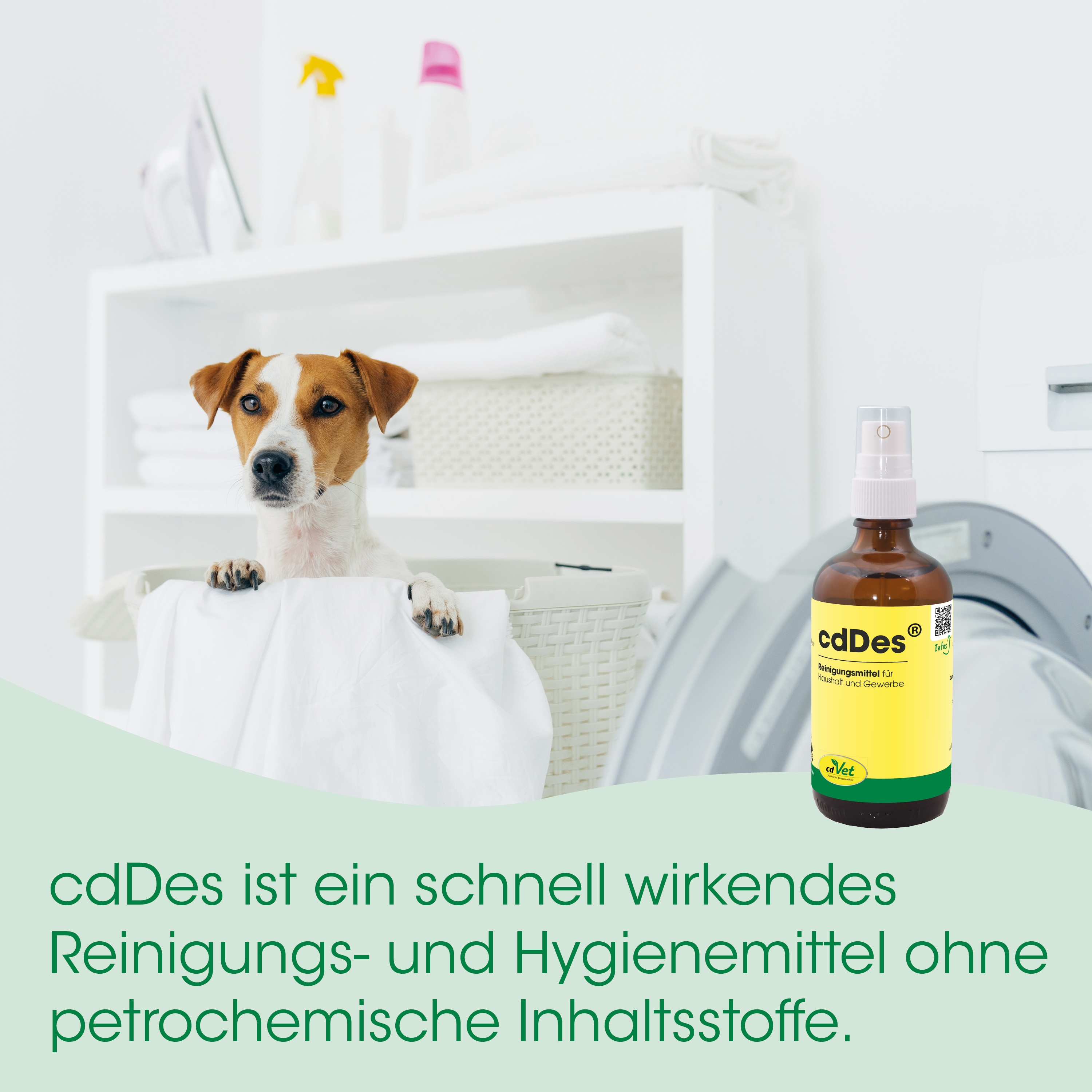 Hund, Wasch-/Reinigungsmittel, Waschraum, Flasche, Haustierpflege